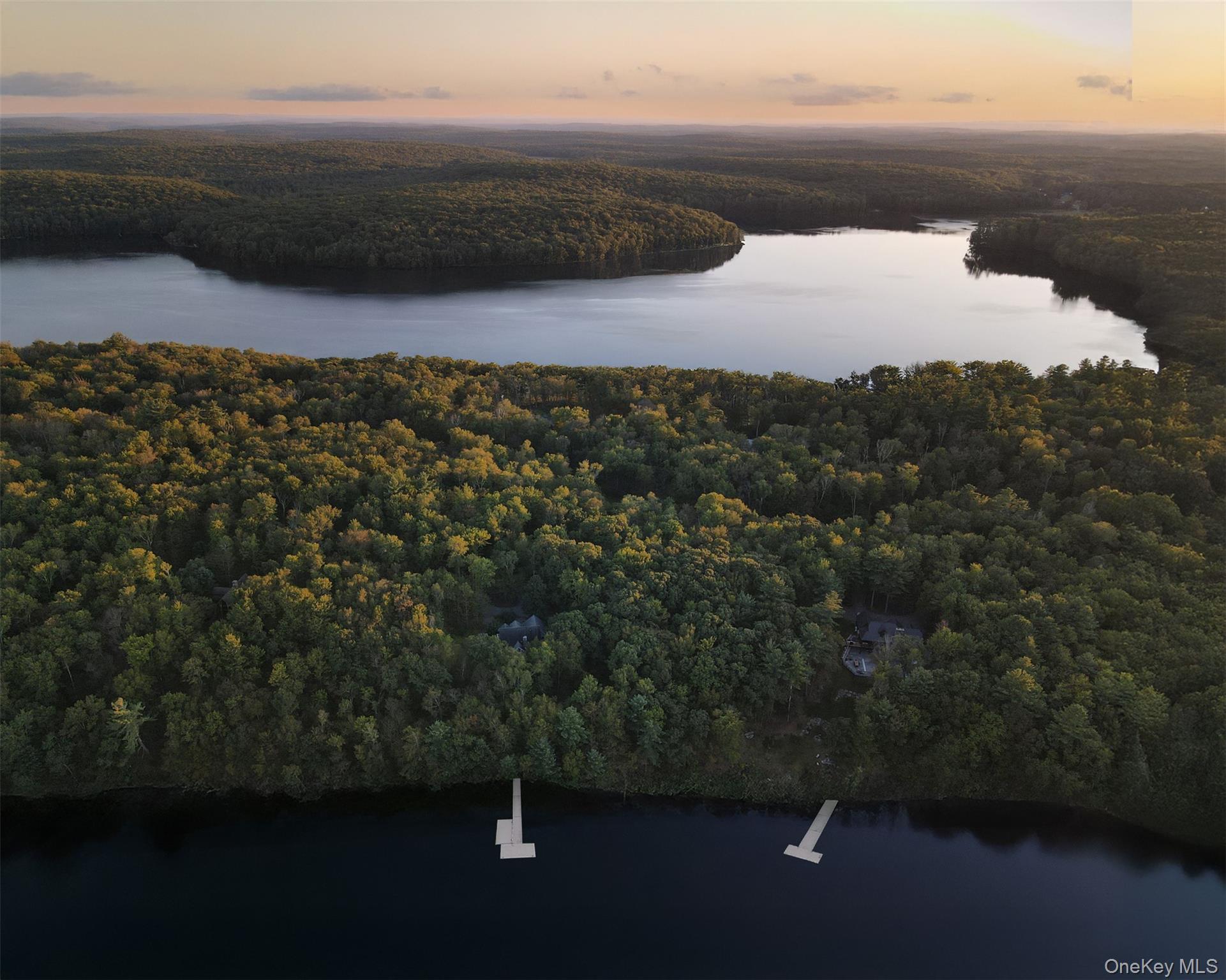 Single Family Homestead Sullivan County, NY 12786, MLS-907278-21