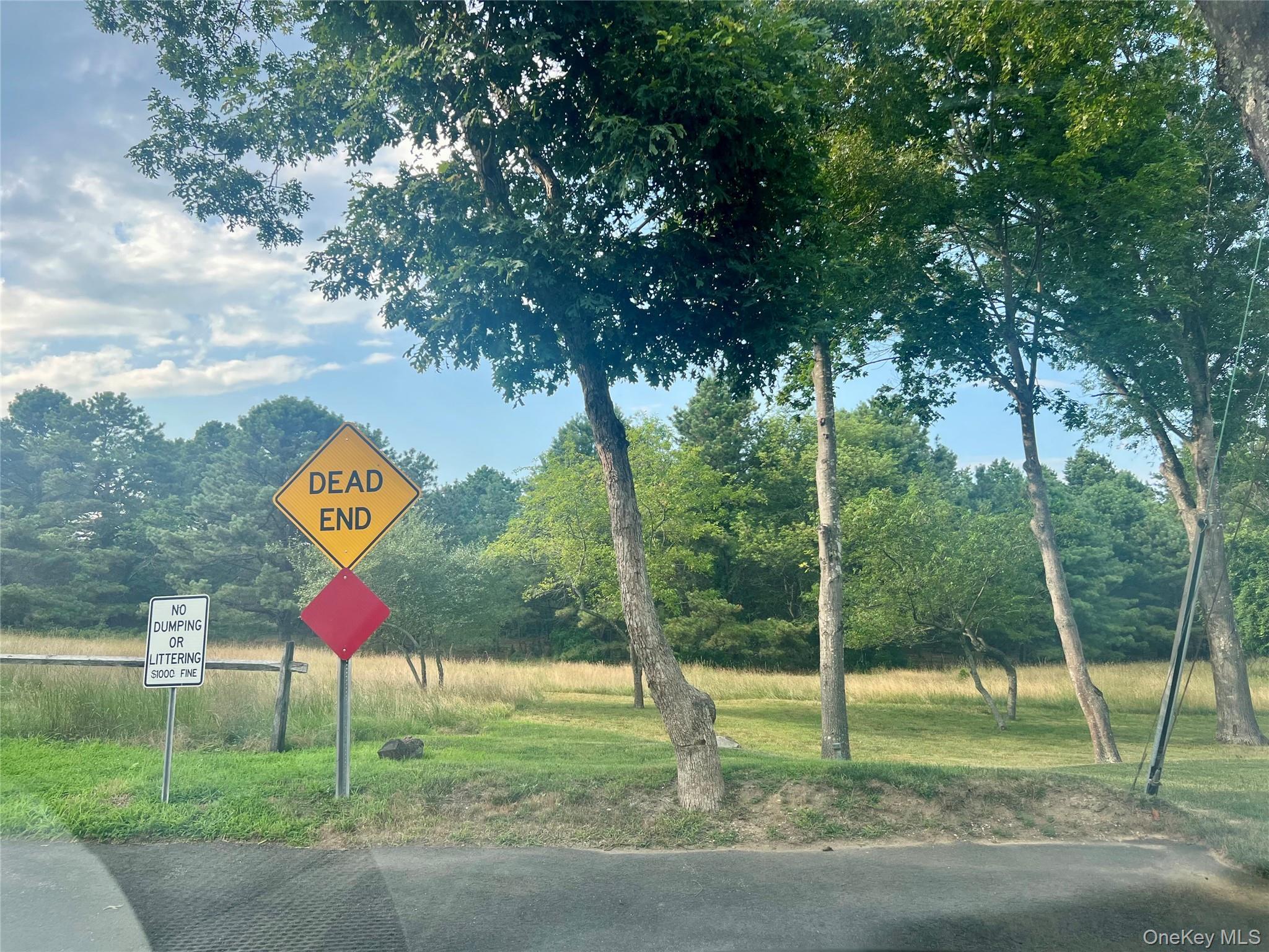 Single Family Lakeside  Suffolk County, NY 11961, MLS-907298-21