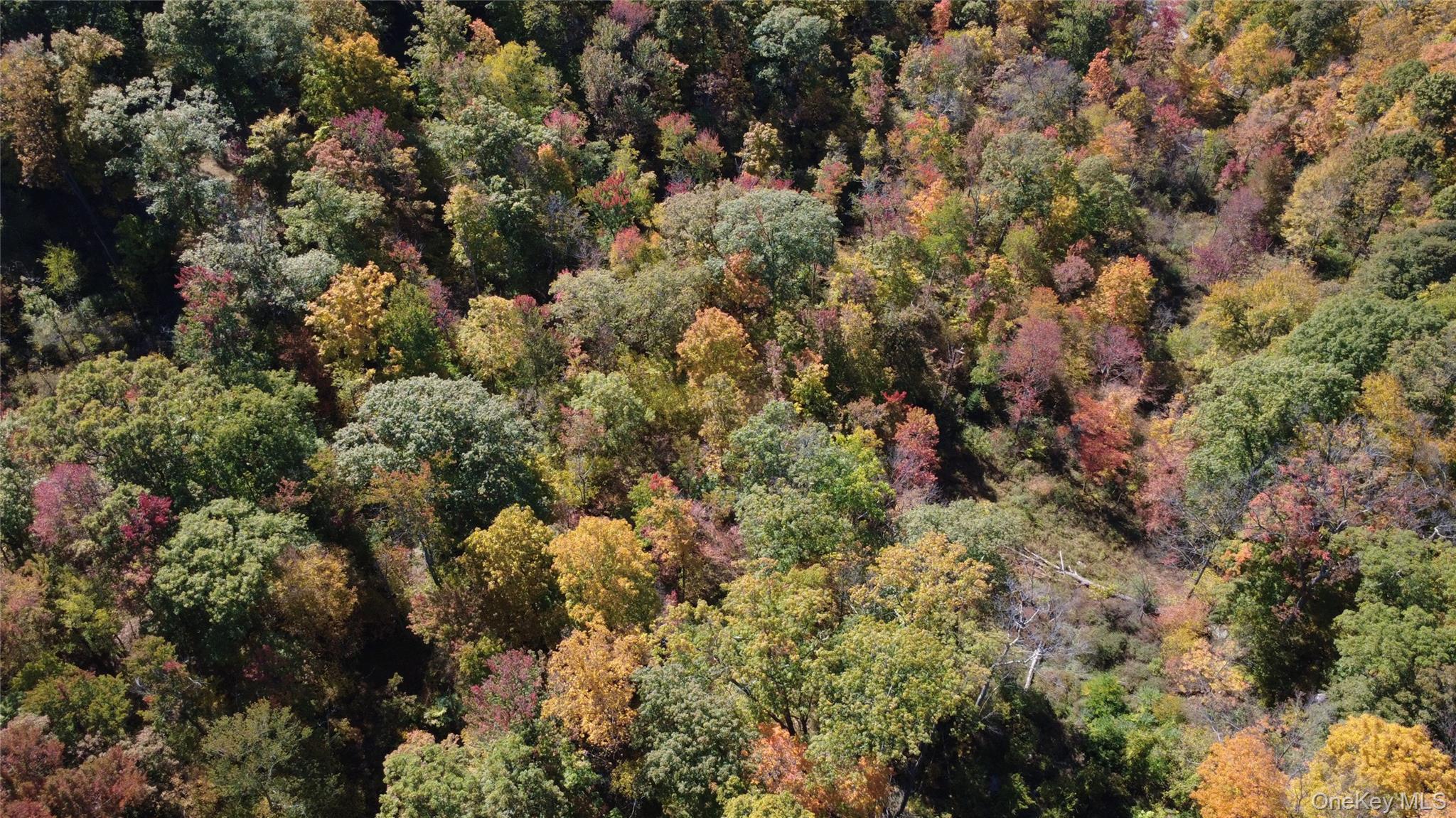 Single Family Reservoir  Orange County, NY 12518, MLS-907356-47