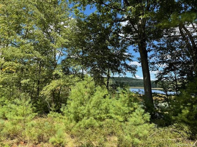 Single Family White Sullivan County, NY 12737, MLS-907415-17