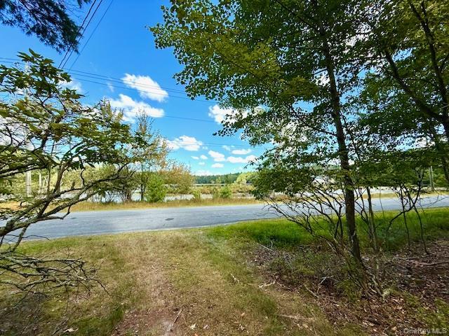 Single Family White Sullivan County, NY 12737, MLS-907415-2