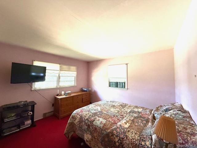 Single Family White Sullivan County, NY 12737, MLS-907415-8