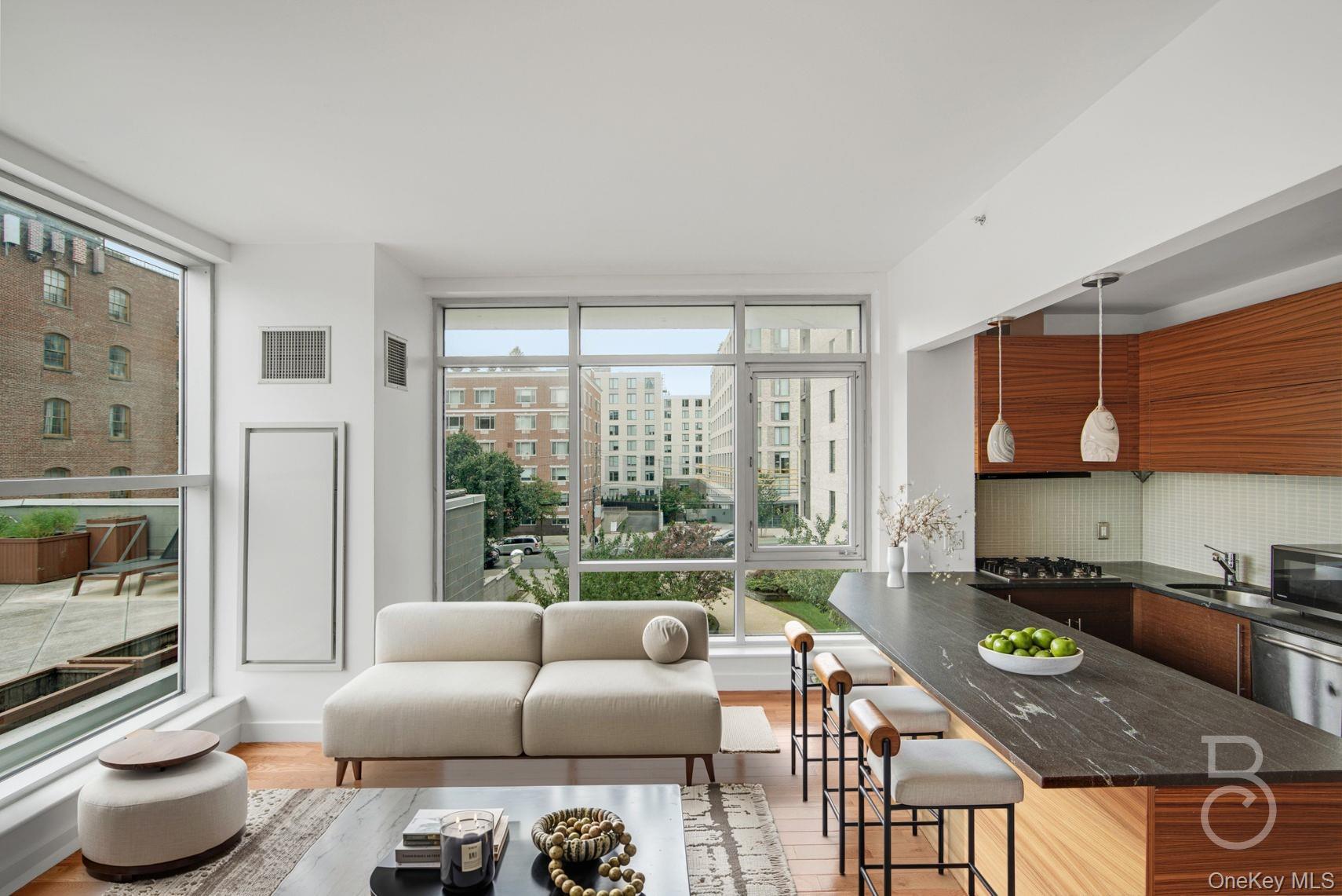 Condo 31st  Queens, NY 11106, MLS-907689-4