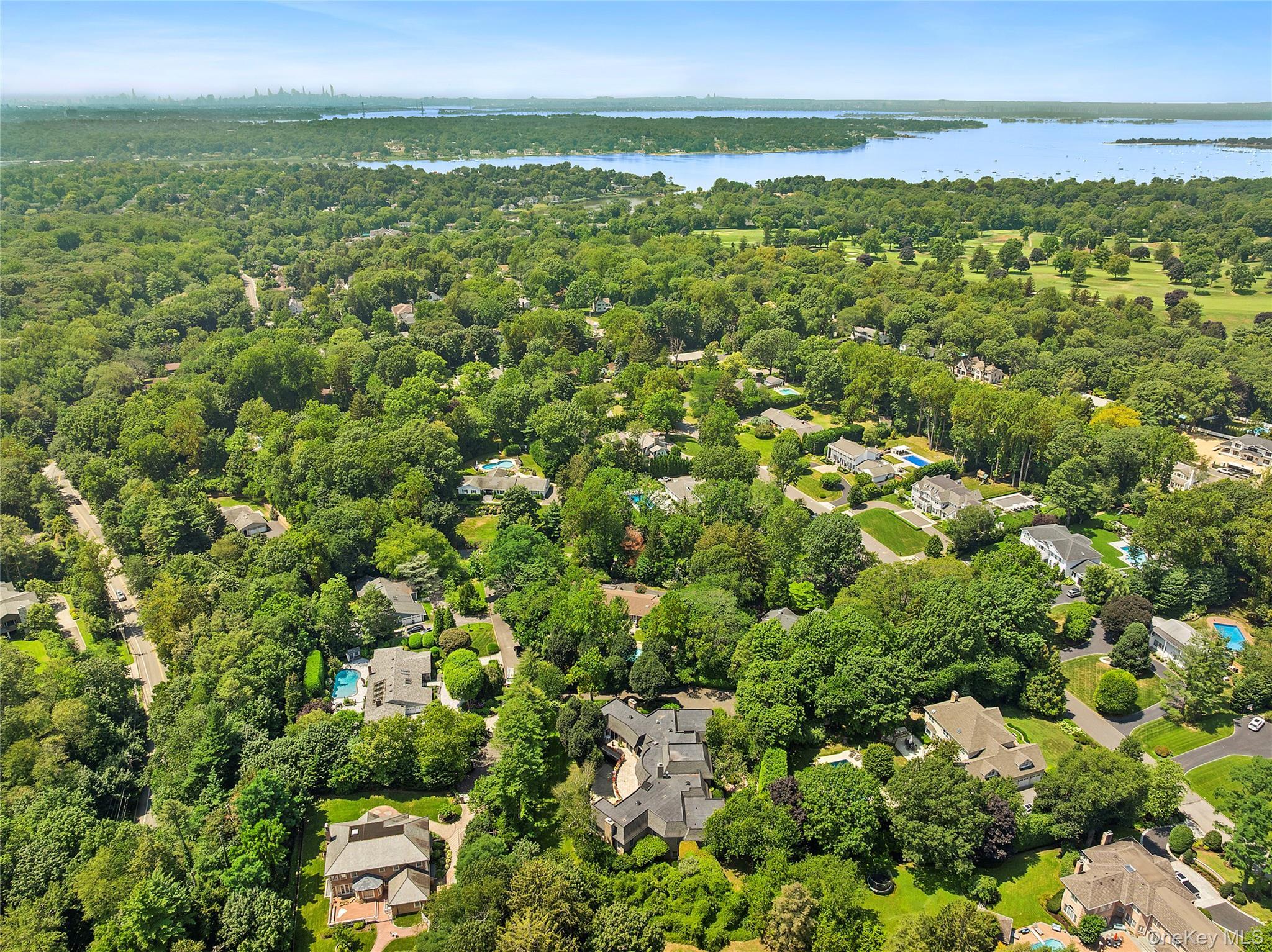 Single Family Chanticlare  Nassau County, NY 11030, MLS-907698-42