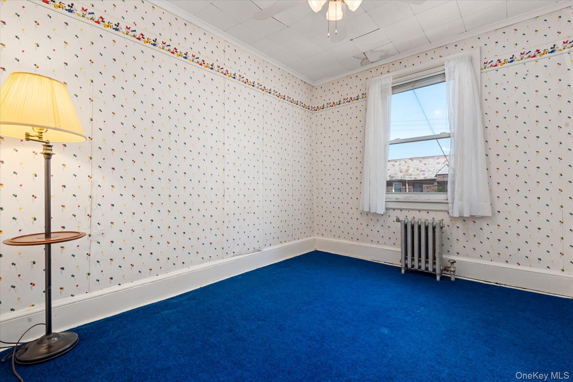 Single Family 79th Queens, NY 11379, MLS-907719-17