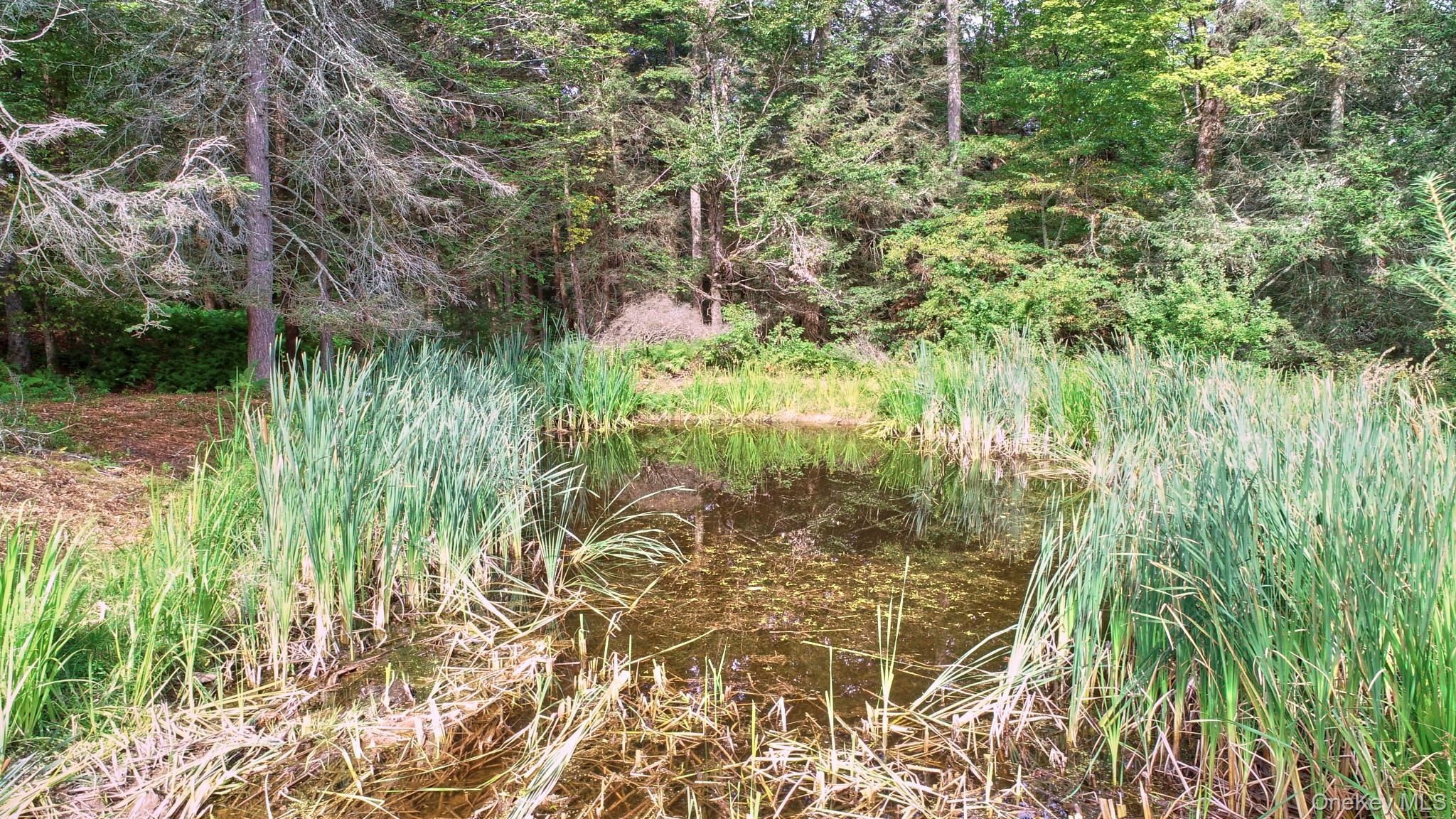 Single Family Simmon  Sullivan County, NY 12736, MLS-907763-28