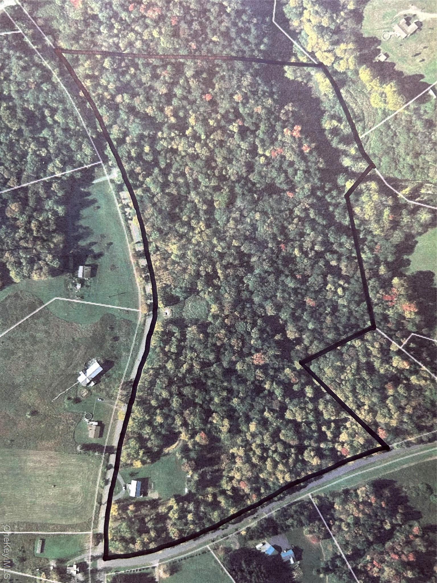 Single Family Simmon  Sullivan County, NY 12736, MLS-907763-35