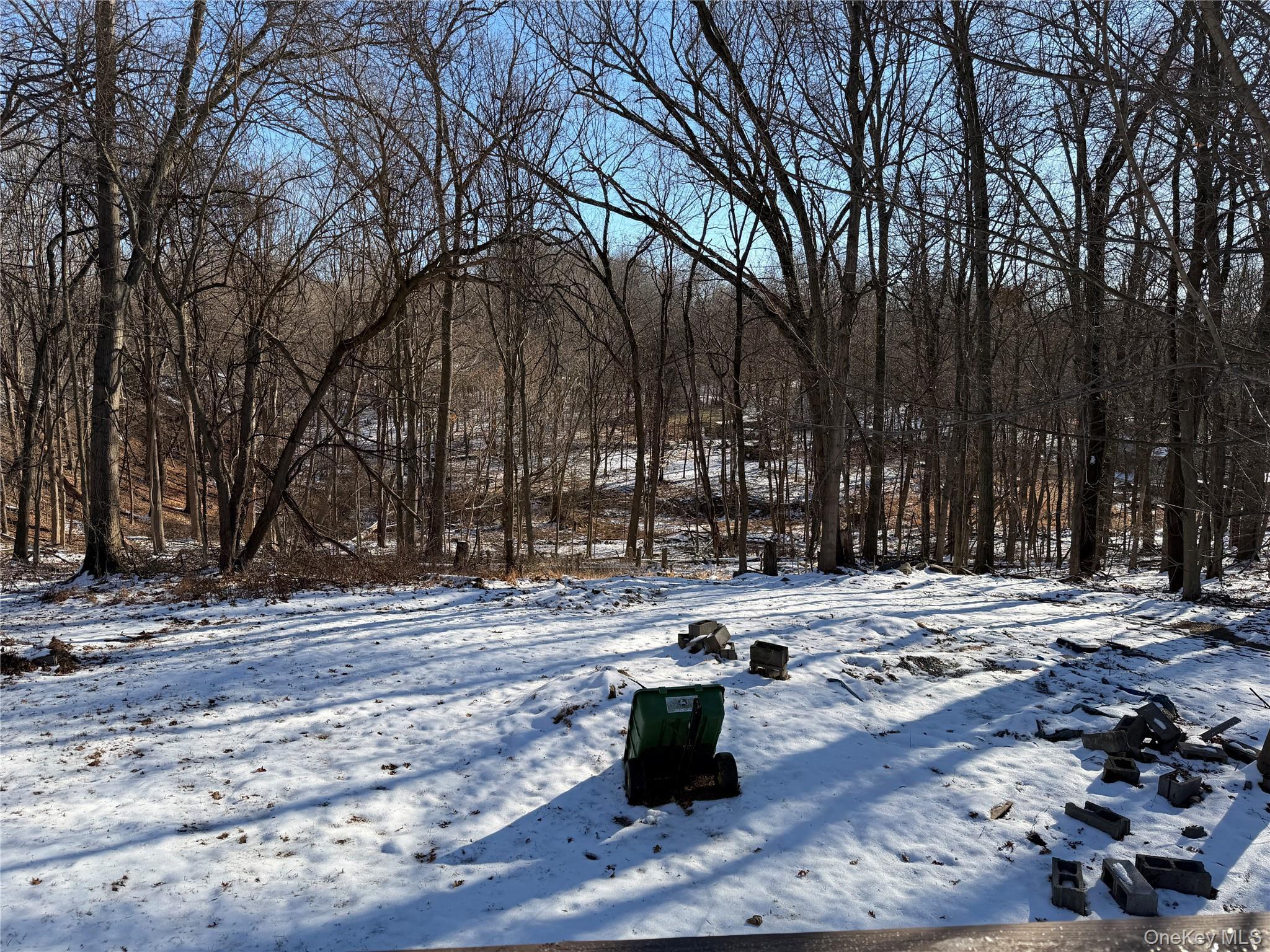 Single Family Lake  Orange County, NY 12577, MLS-907857-20