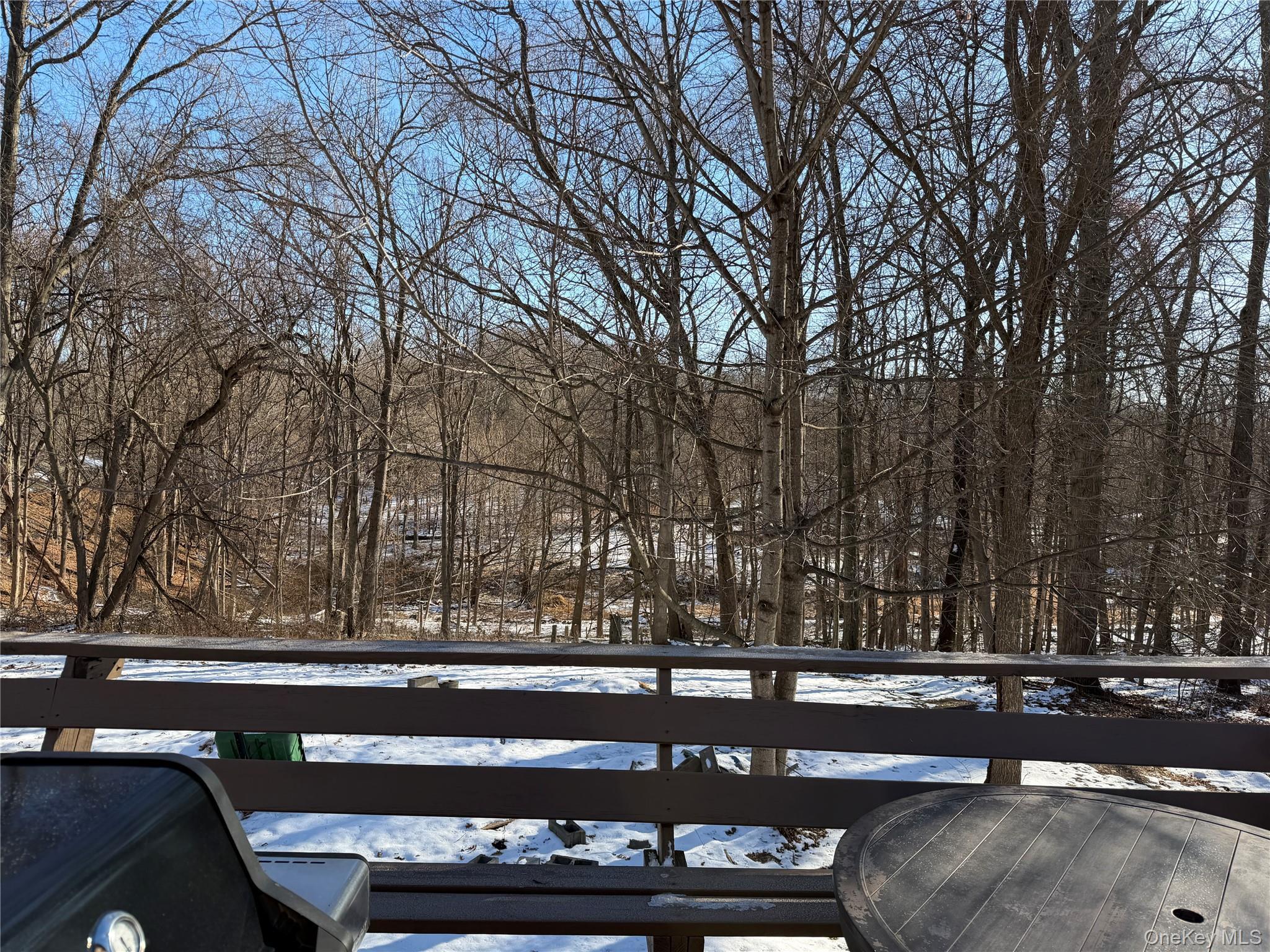 Single Family Lake  Orange County, NY 12577, MLS-907857-23