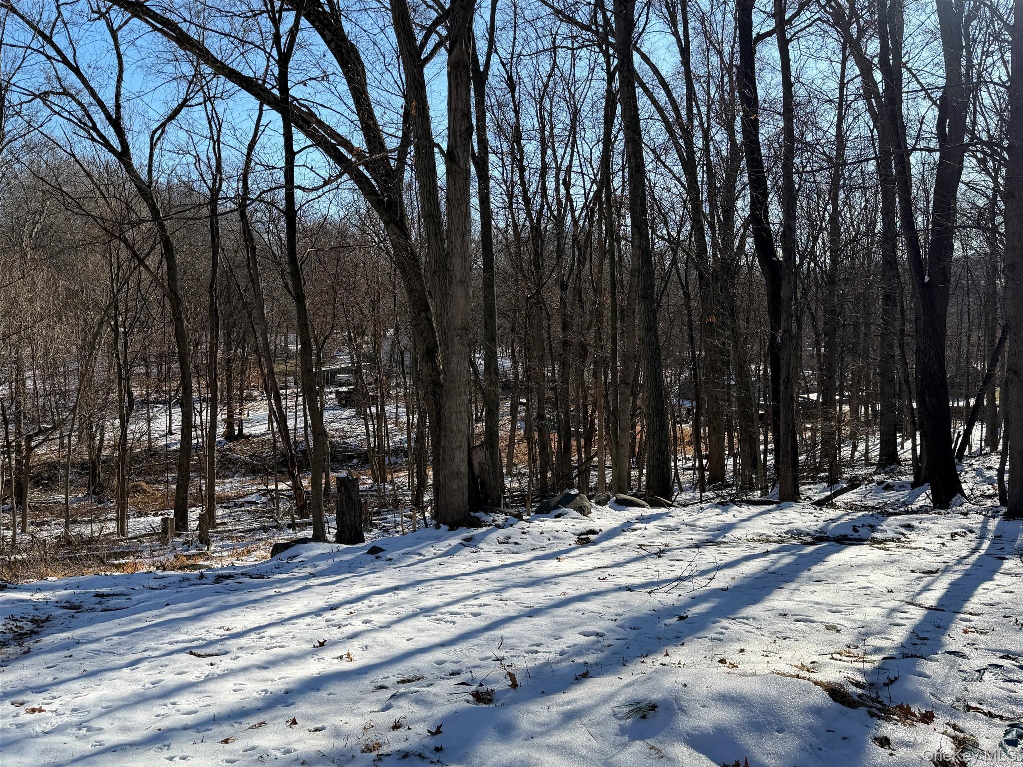 Single Family Lake  Orange County, NY 12577, MLS-907857-24