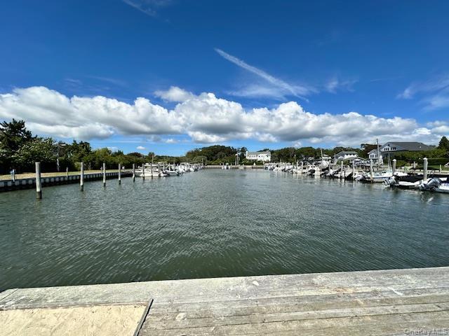 Single Family Canvasback Suffolk County, NY 11942, MLS-907869-16