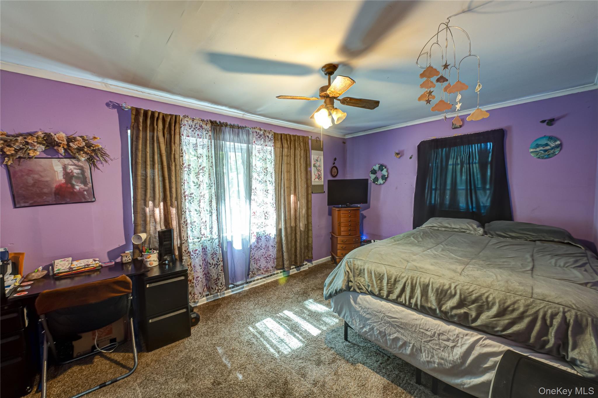 Single Family Dryad Suffolk County, NY 11778, MLS-908116-9