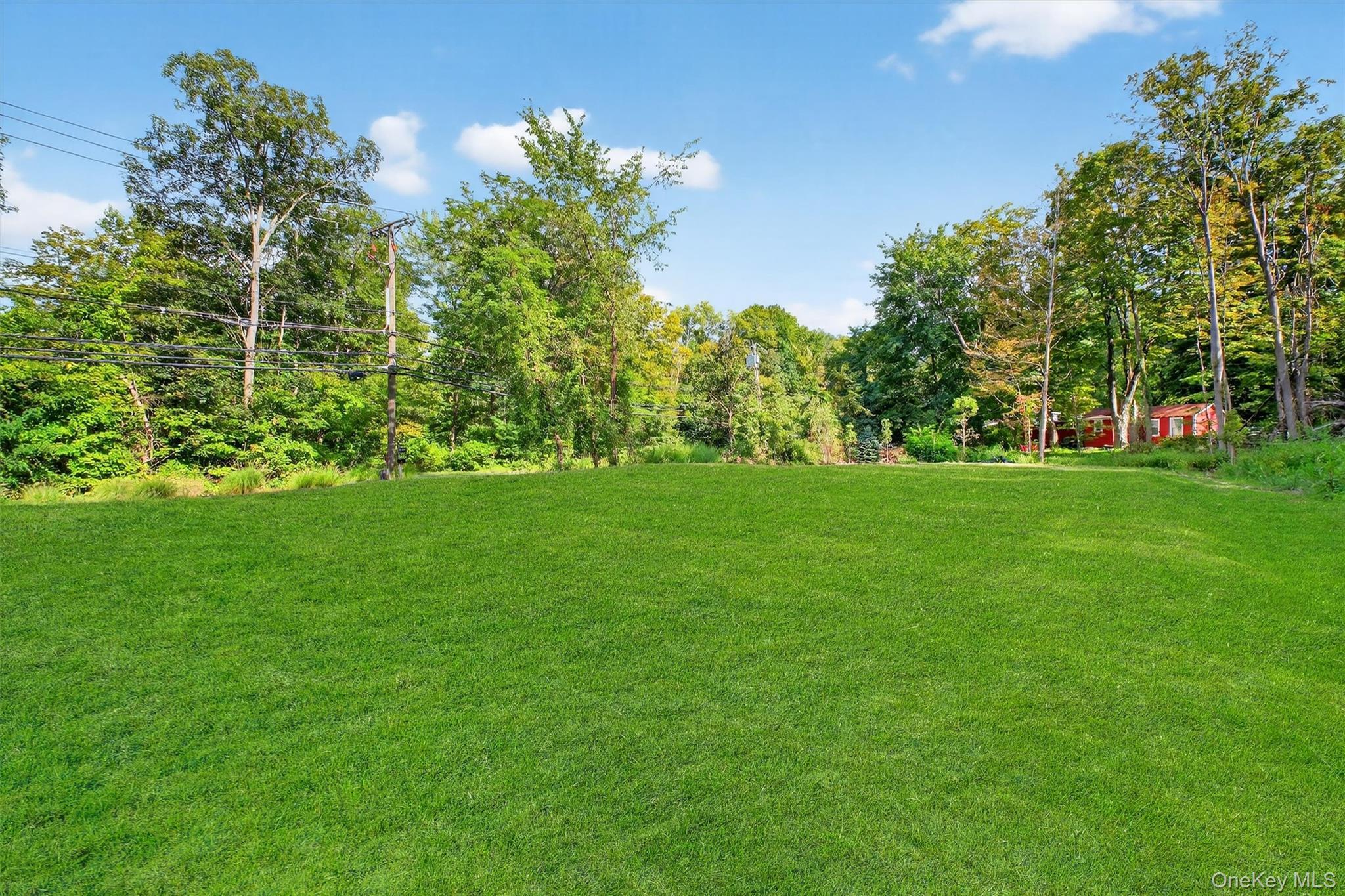 Single Family Maple Westchester County, NY 10567, MLS-908156-24