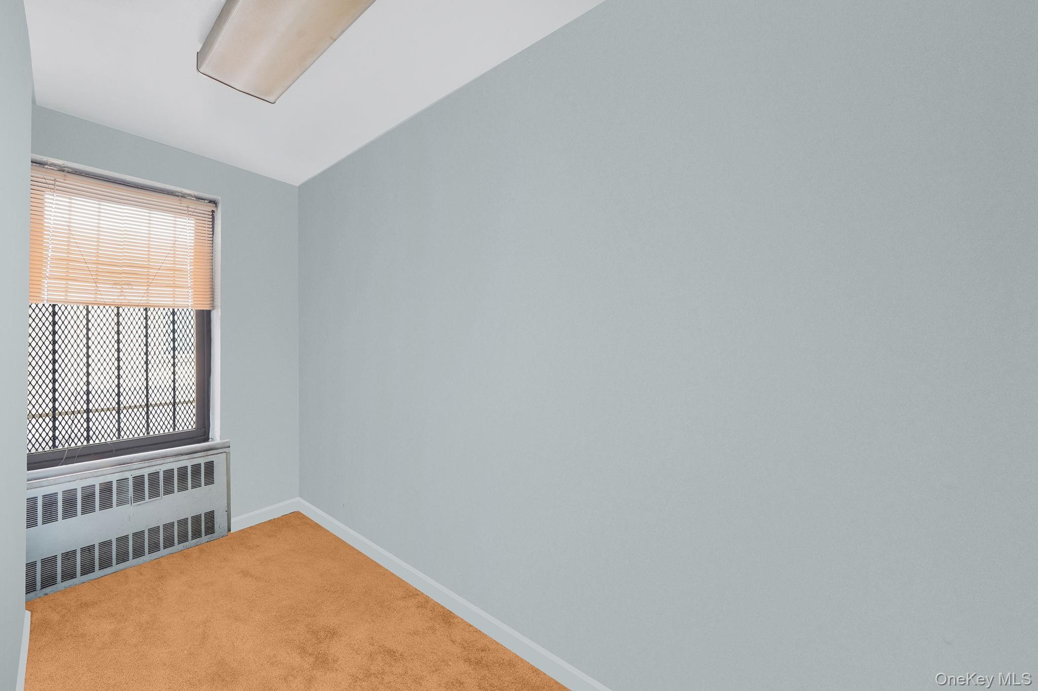 Commercial Sale Grand Concourse  Bronx, NY 10451, MLS-908157-12
