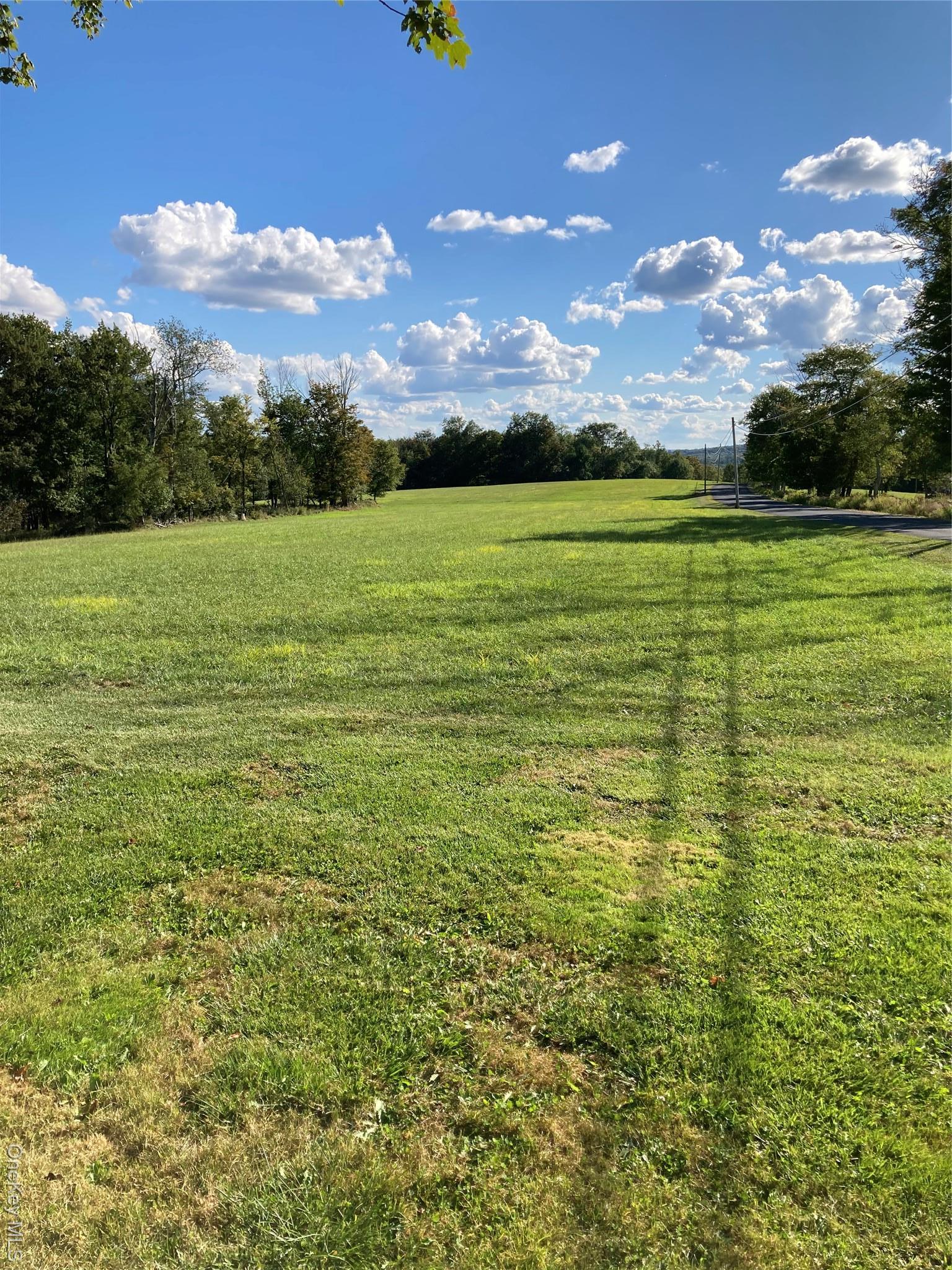 Single Family Rose Sullivan County, NY 12788, MLS-908321-12