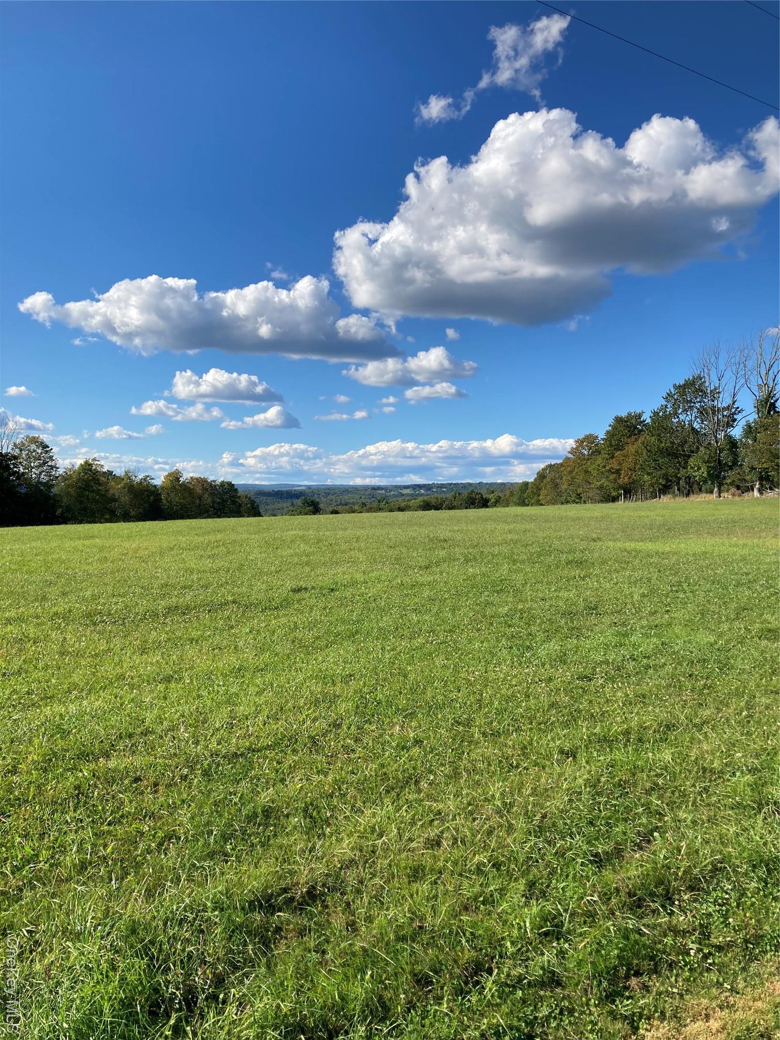 Single Family Rose Sullivan County, NY 12788, MLS-908321-13