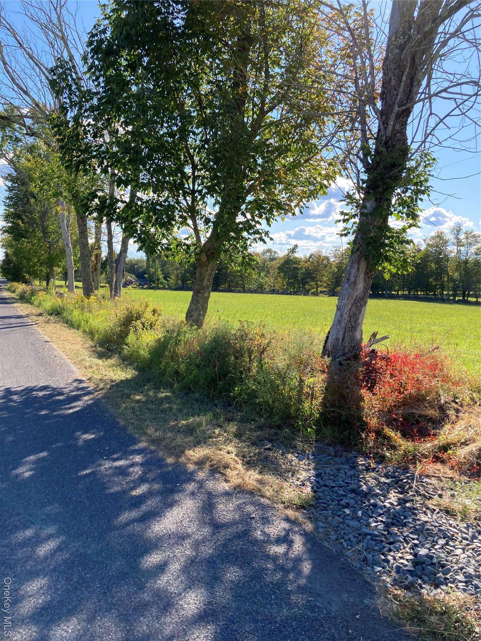 Single Family Rose Sullivan County, NY 12788, MLS-908321-14