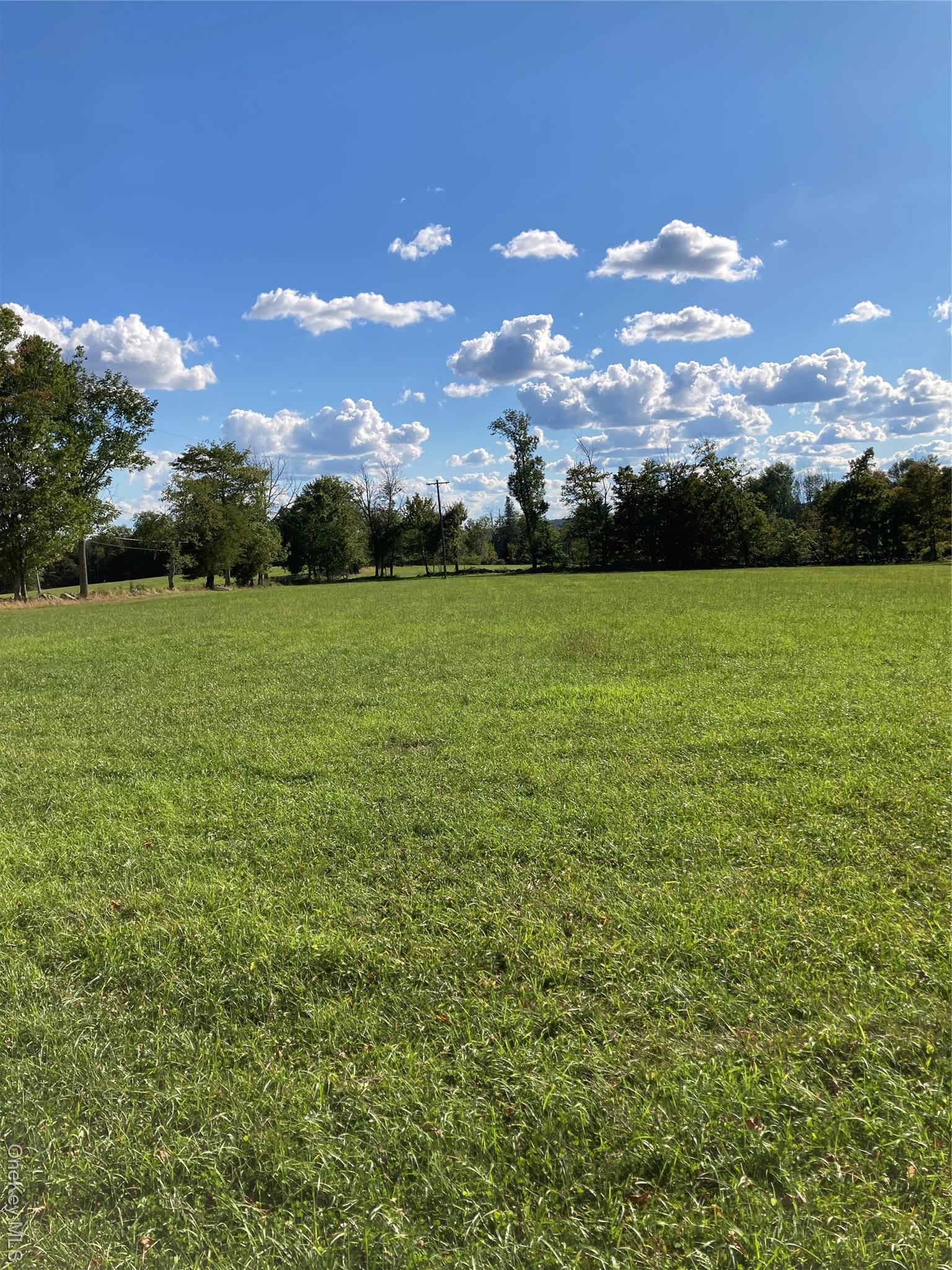 Single Family Rose Sullivan County, NY 12788, MLS-908321-15