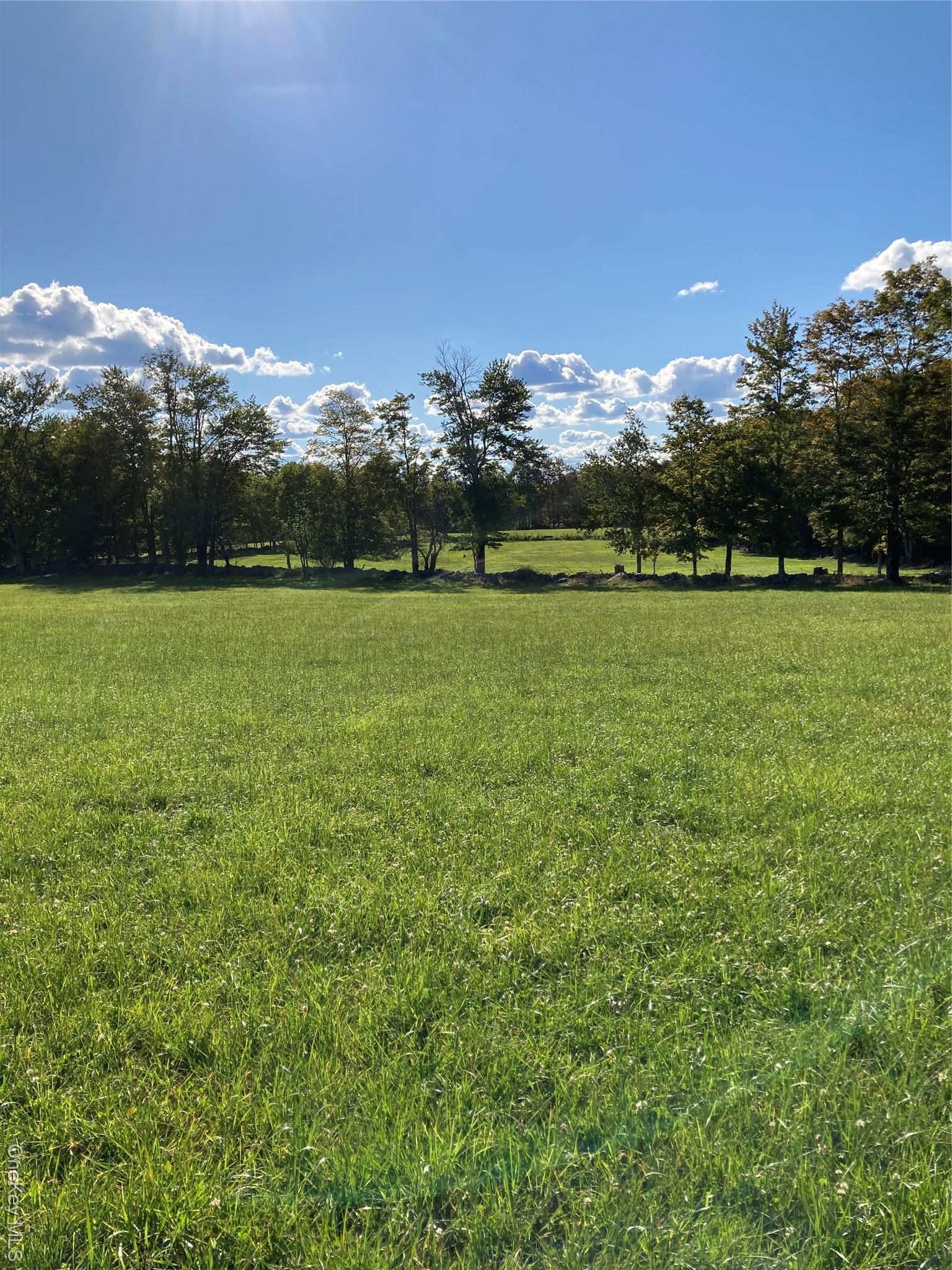 Single Family Rose Sullivan County, NY 12788, MLS-908321-16