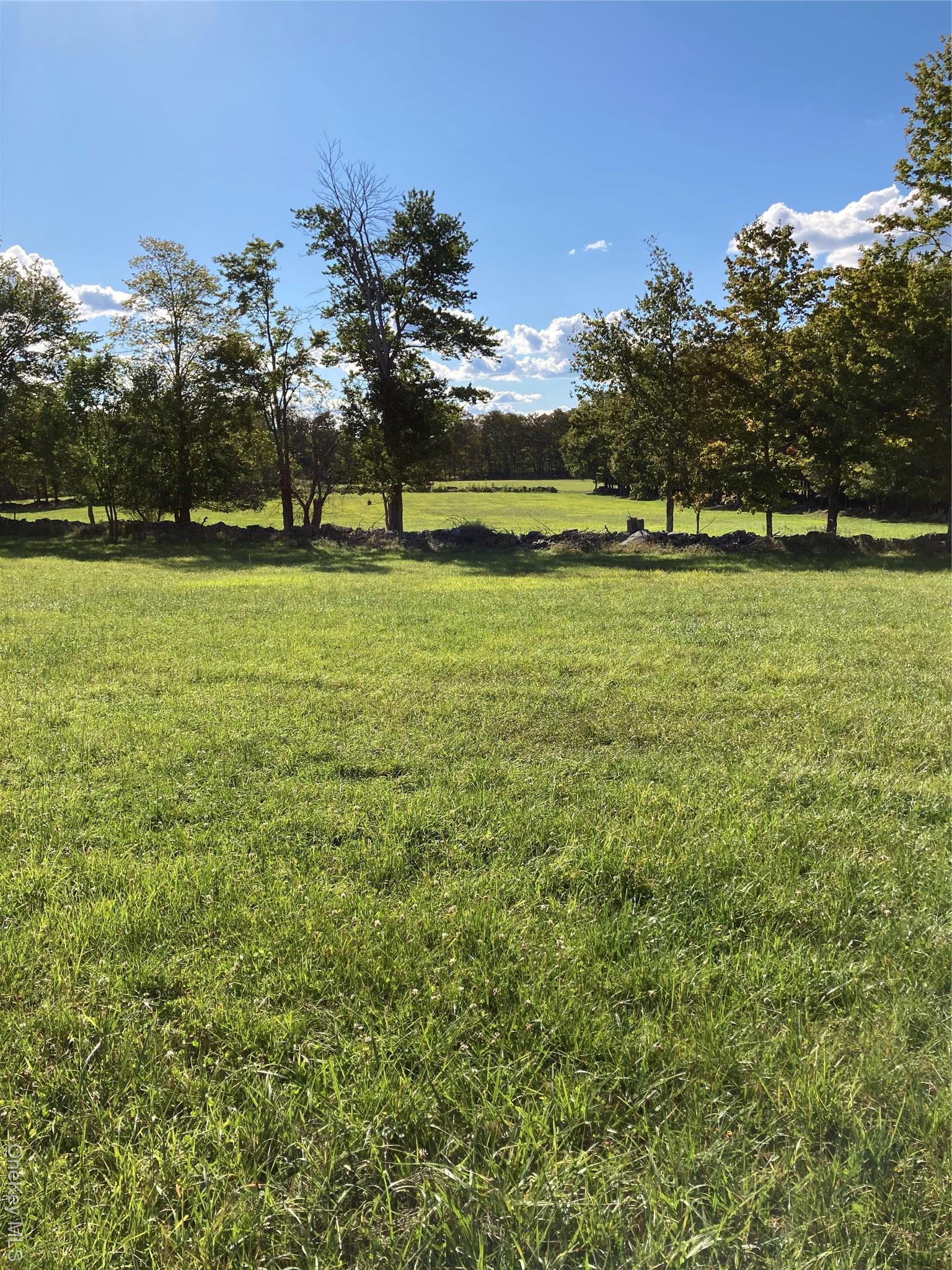 Single Family Rose Sullivan County, NY 12788, MLS-908321-17