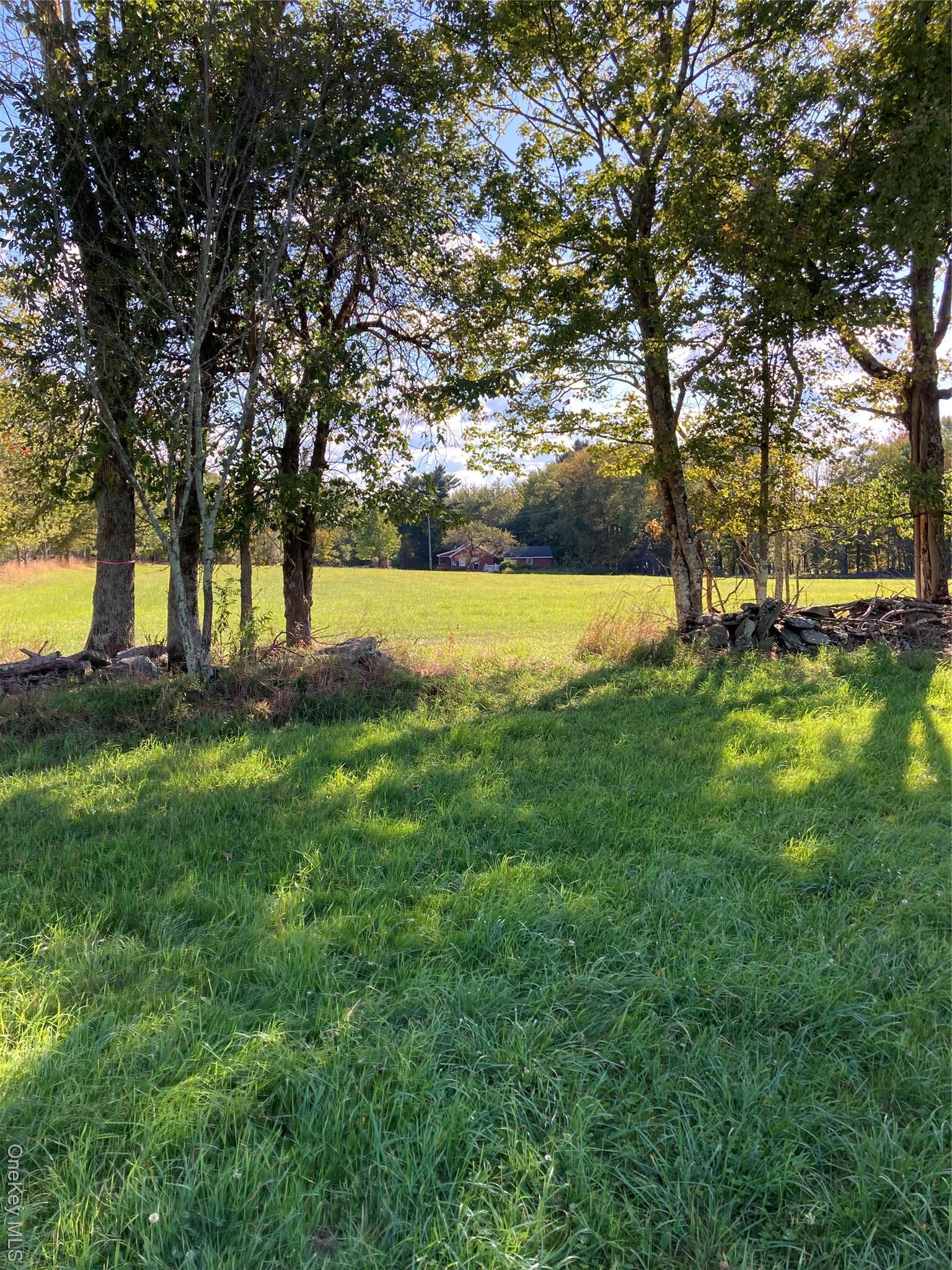 Single Family Rose Sullivan County, NY 12788, MLS-908321-18