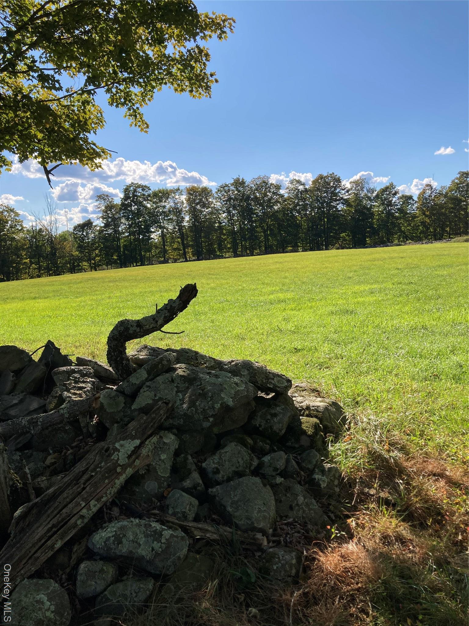 Single Family Rose Sullivan County, NY 12788, MLS-908321-19