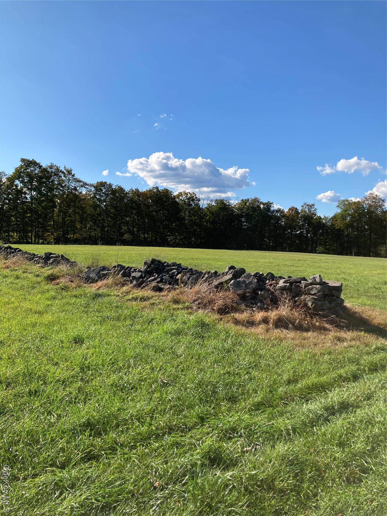 Single Family Rose Sullivan County, NY 12788, MLS-908321-20