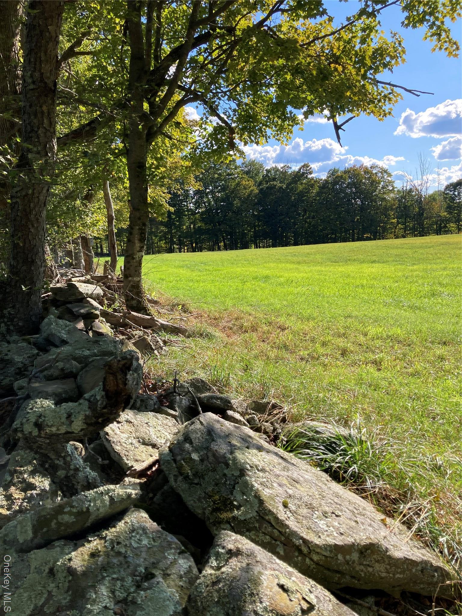 Single Family Rose Sullivan County, NY 12788, MLS-908321-21