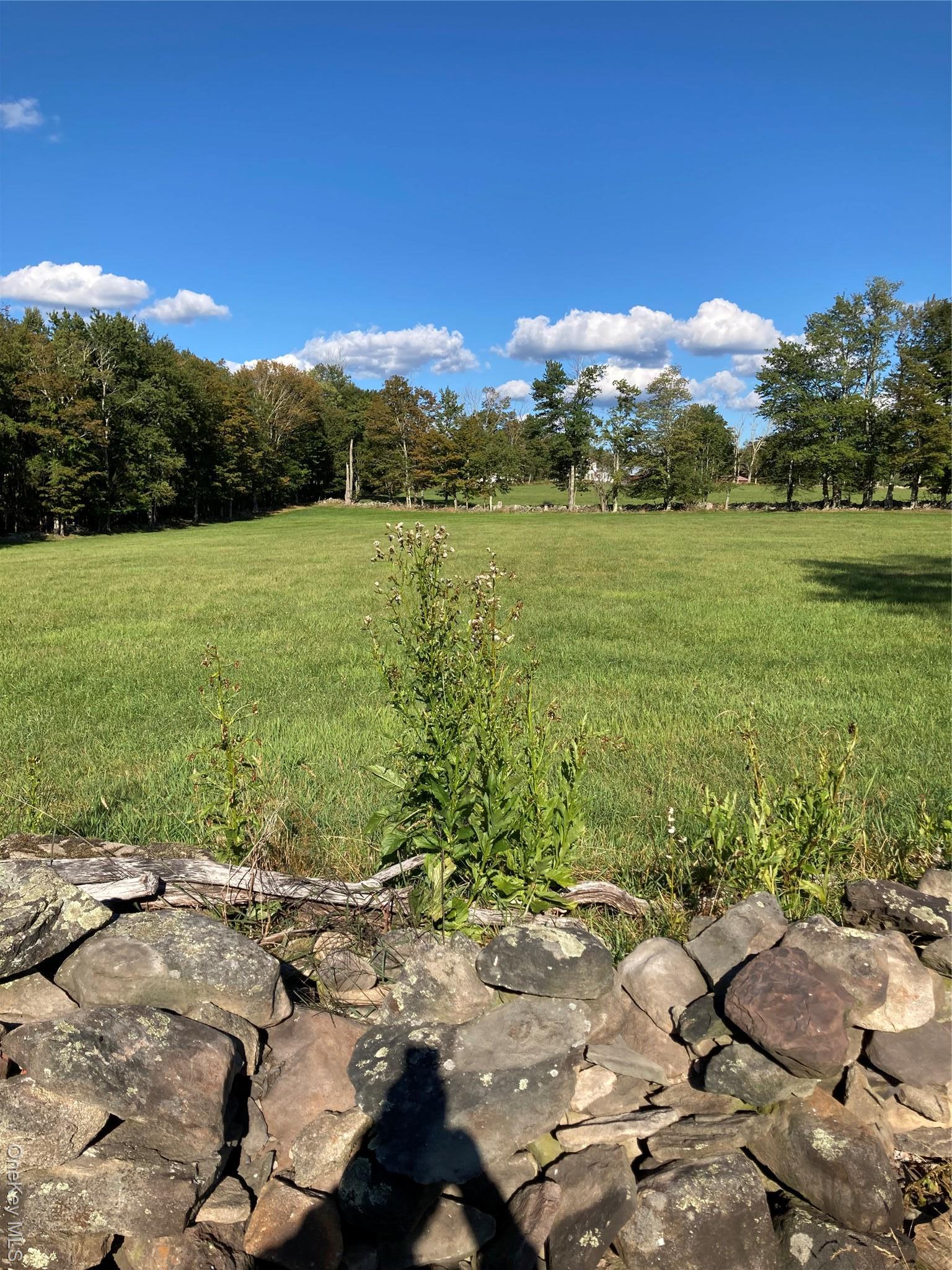 Single Family Rose Sullivan County, NY 12788, MLS-908321-22