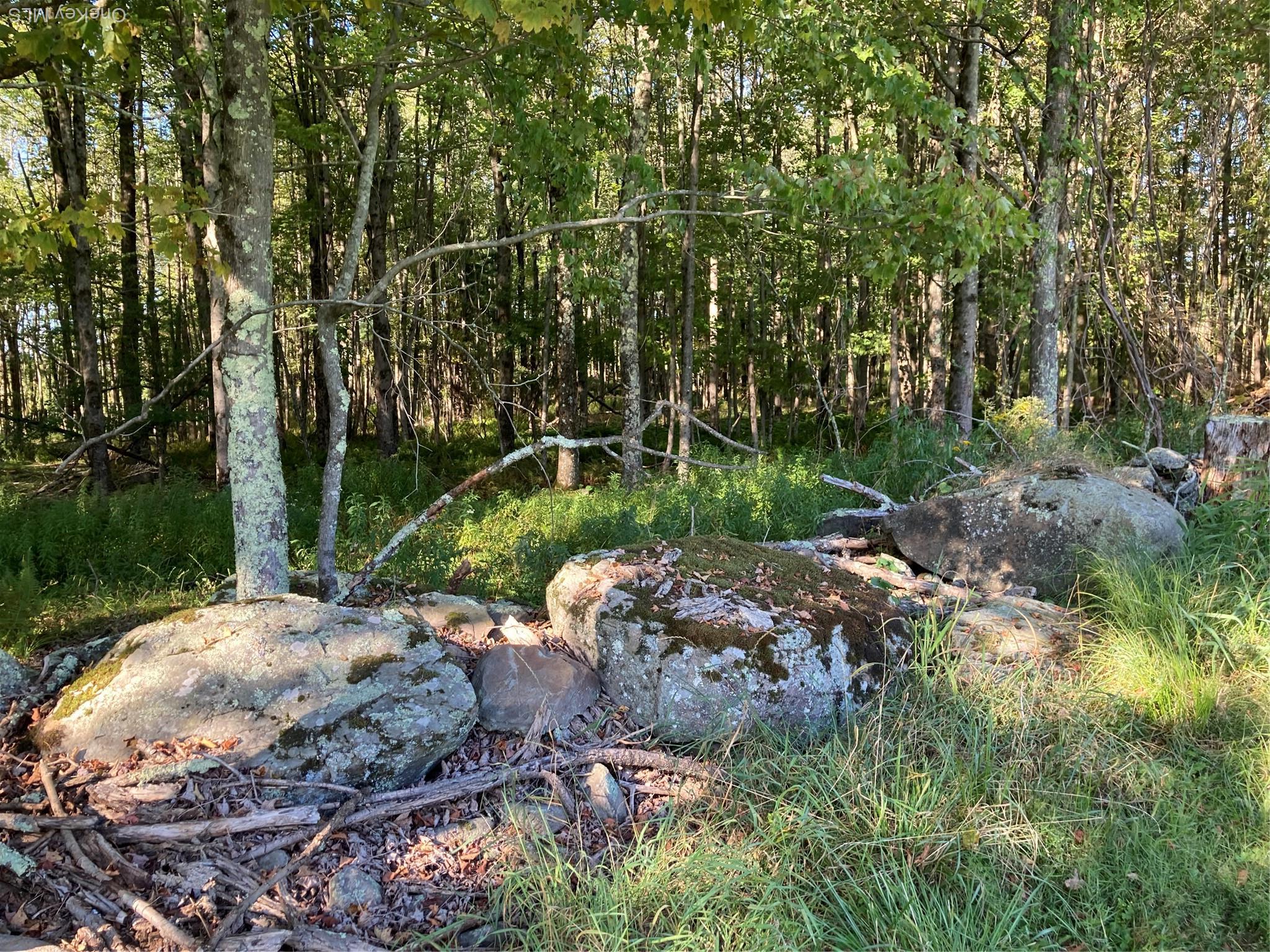 Single Family Rose Sullivan County, NY 12788, MLS-908321-23