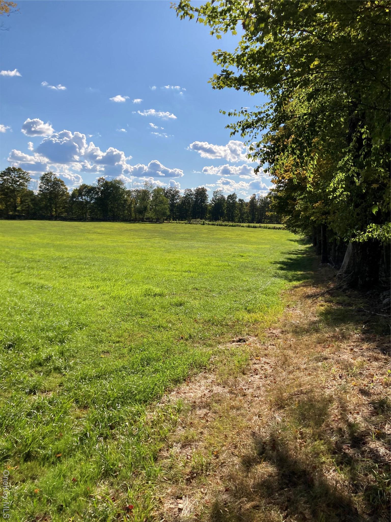 Single Family Rose Sullivan County, NY 12788, MLS-908321-24