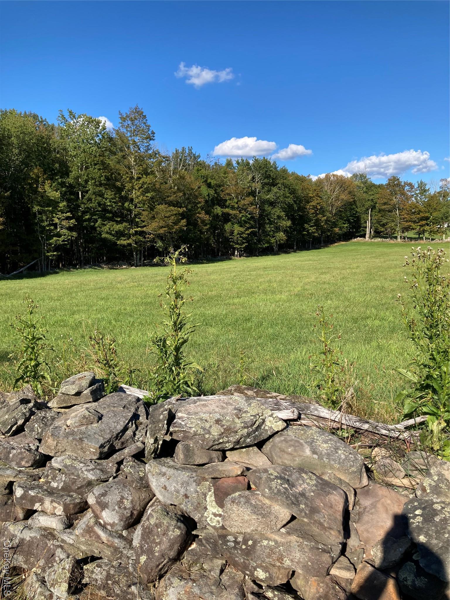 Single Family Rose Sullivan County, NY 12788, MLS-908321-25