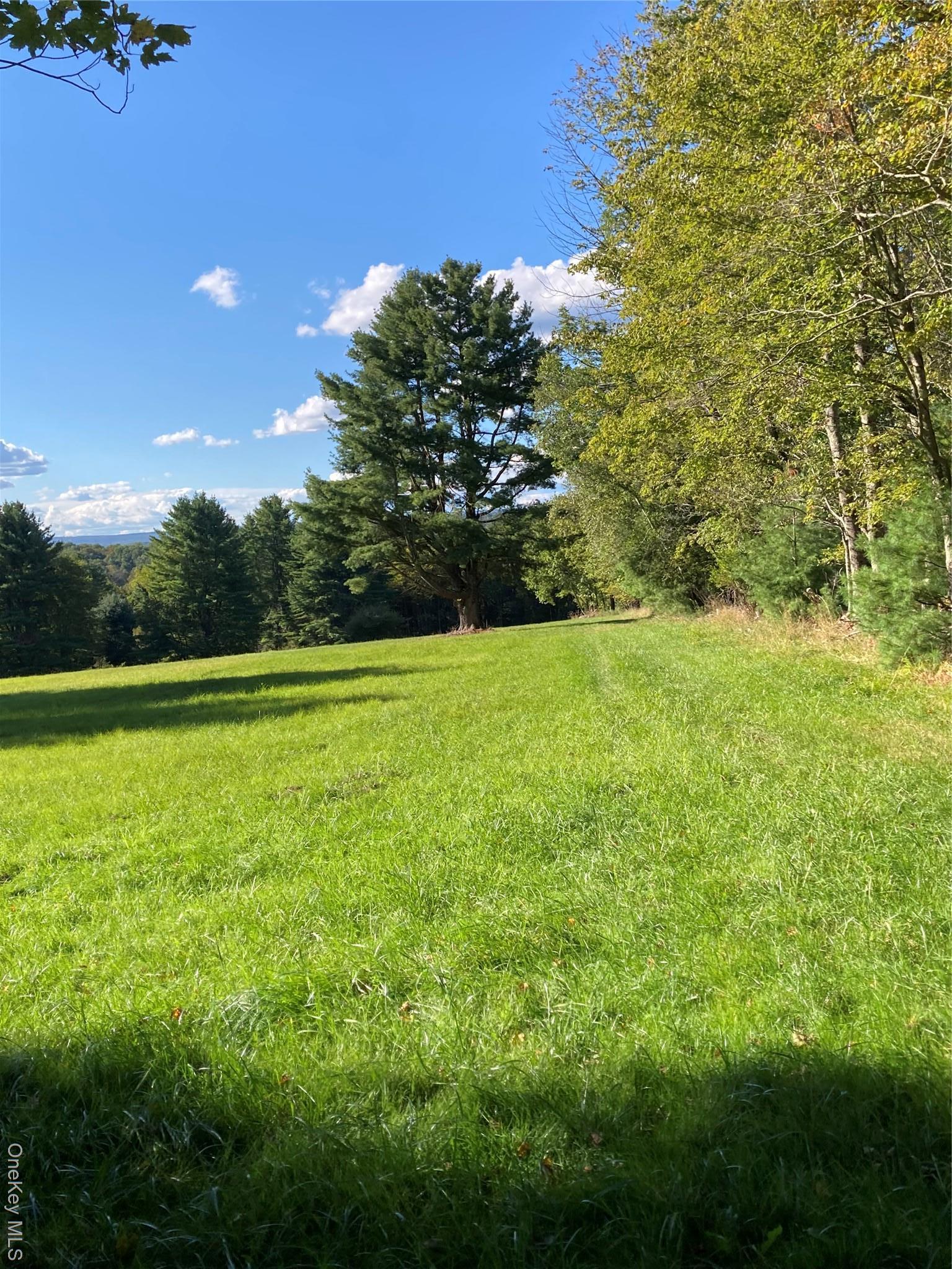 Single Family Rose Sullivan County, NY 12788, MLS-908321-26