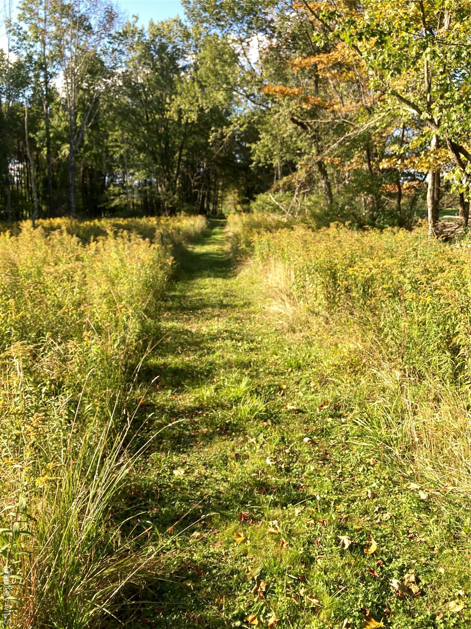 Single Family Rose Sullivan County, NY 12788, MLS-908321-27