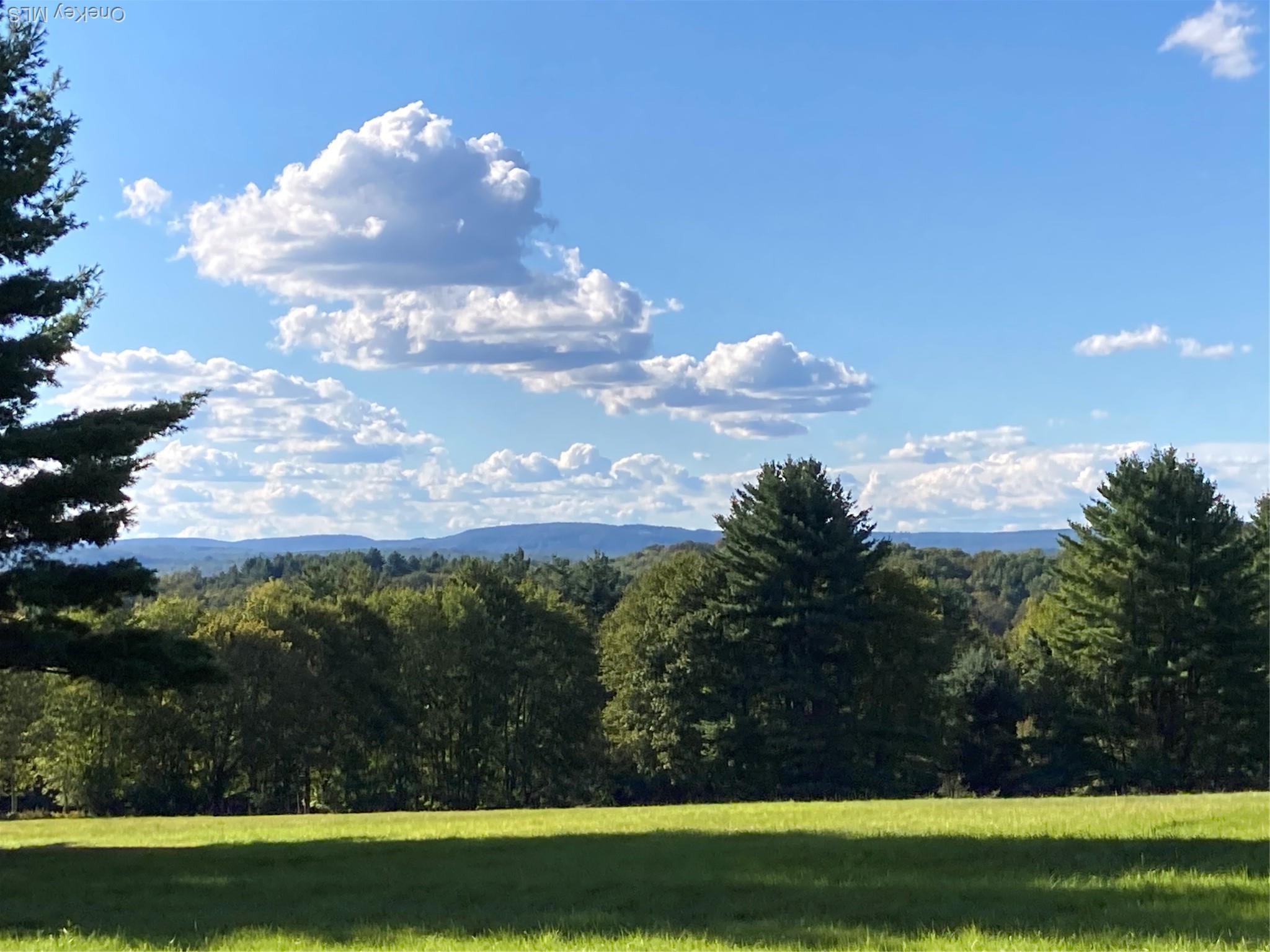 Single Family Rose Sullivan County, NY 12788, MLS-908321-28