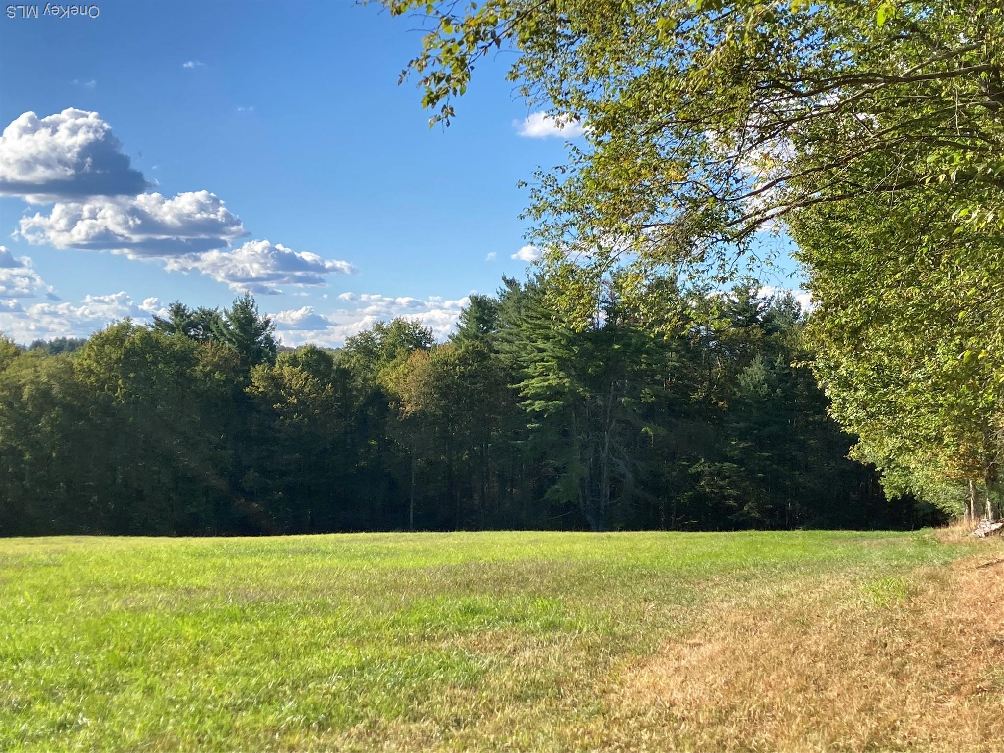 Single Family Rose Sullivan County, NY 12788, MLS-908321-29