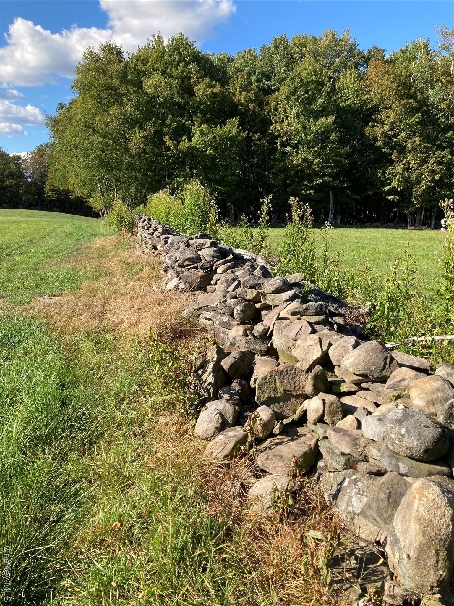 Single Family Rose Sullivan County, NY 12788, MLS-908321-3