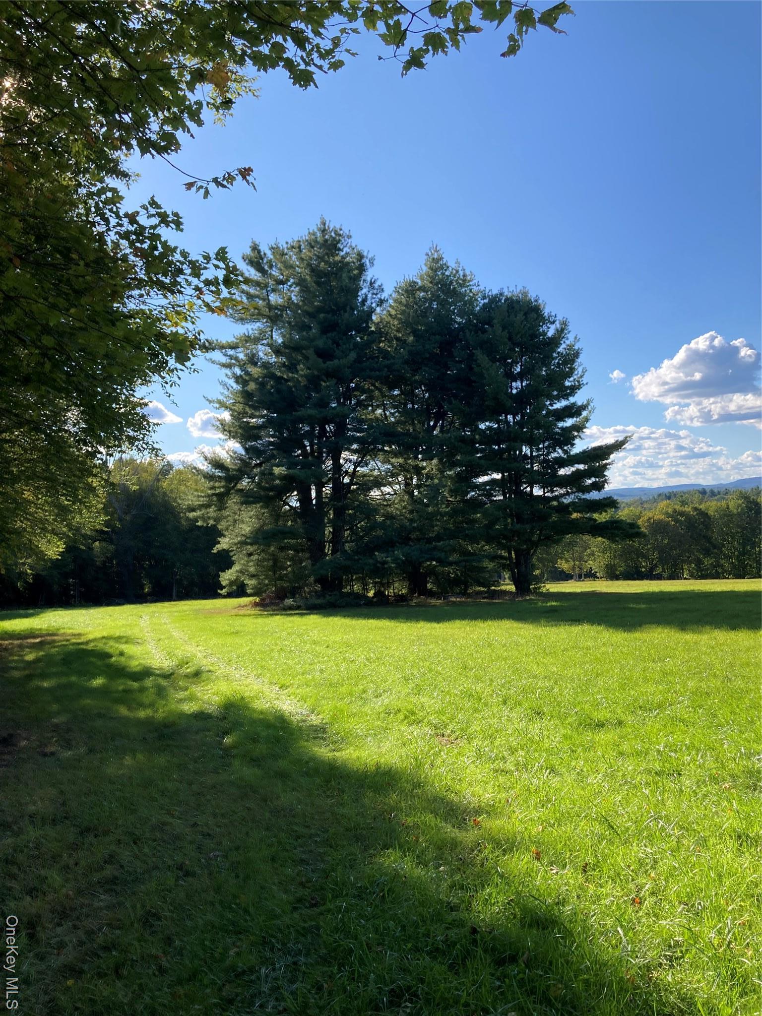 Single Family Rose Sullivan County, NY 12788, MLS-908321-30