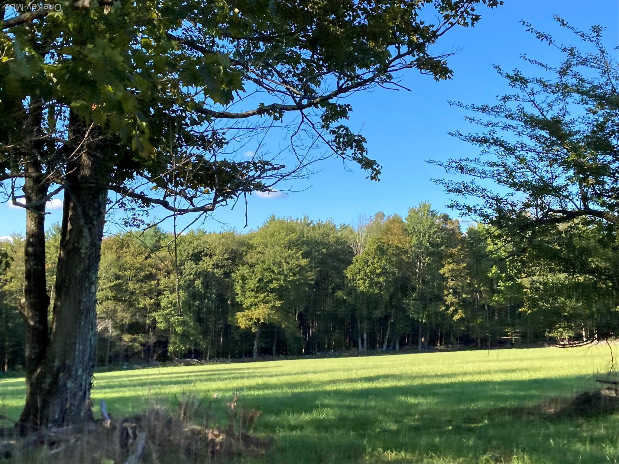 Single Family Rose Sullivan County, NY 12788, MLS-908321-31