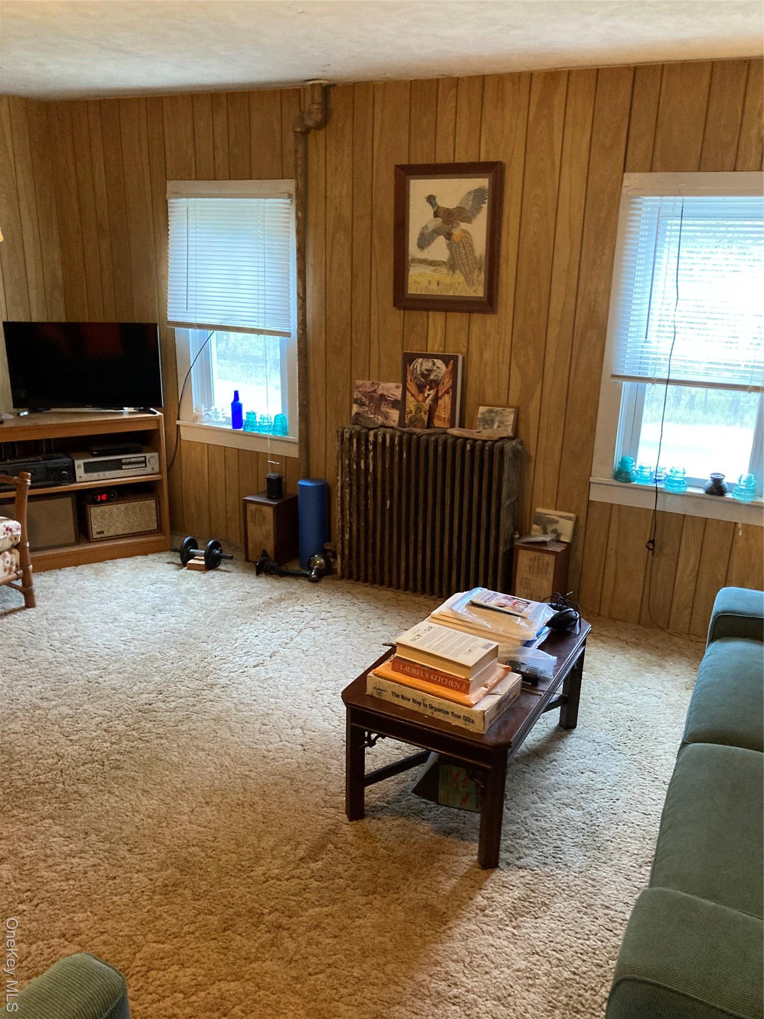 Single Family Rose Sullivan County, NY 12788, MLS-908321-42