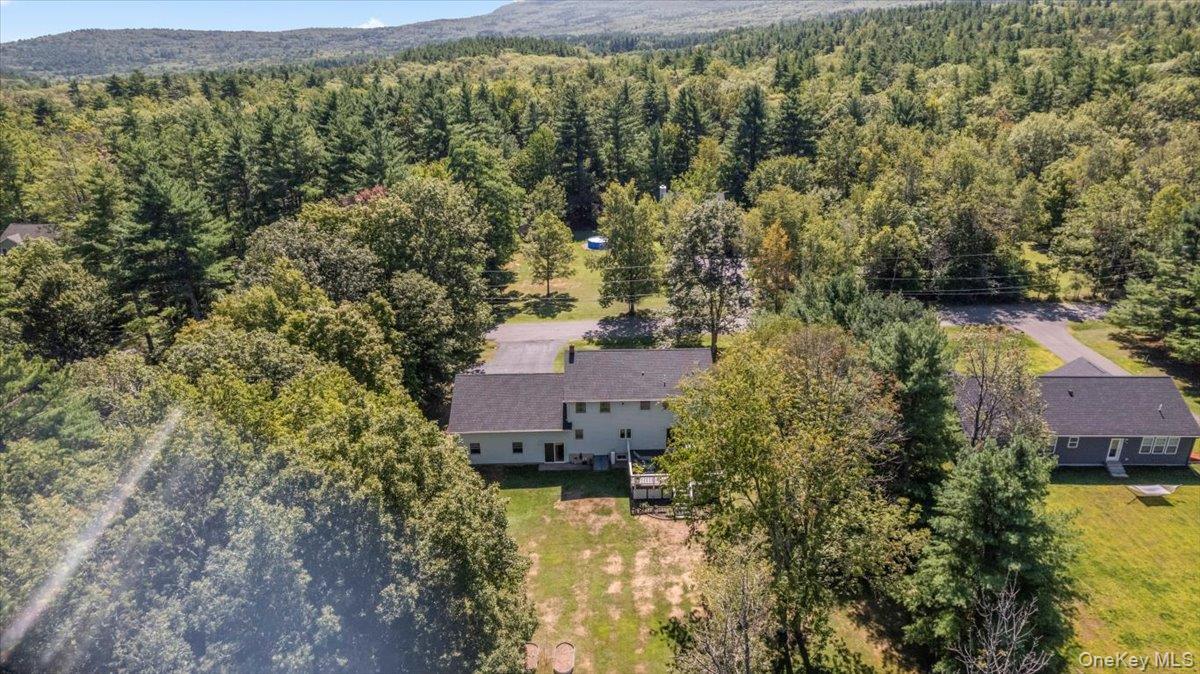 Single Family Stone Mountain  Greene County, NY 12473, MLS-908386-33