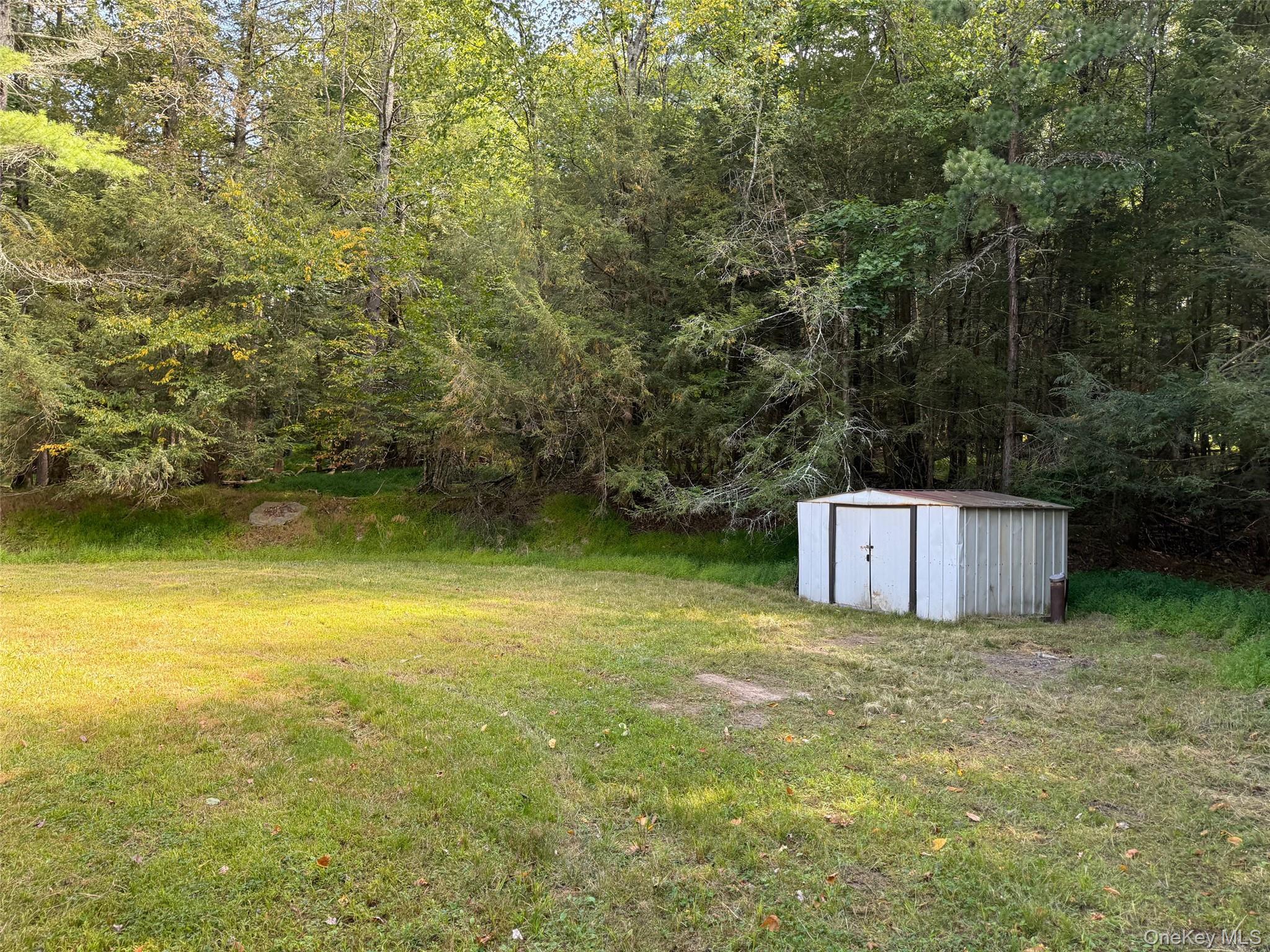 Single Family Park  Sullivan County, NY 12792, MLS-908420-26