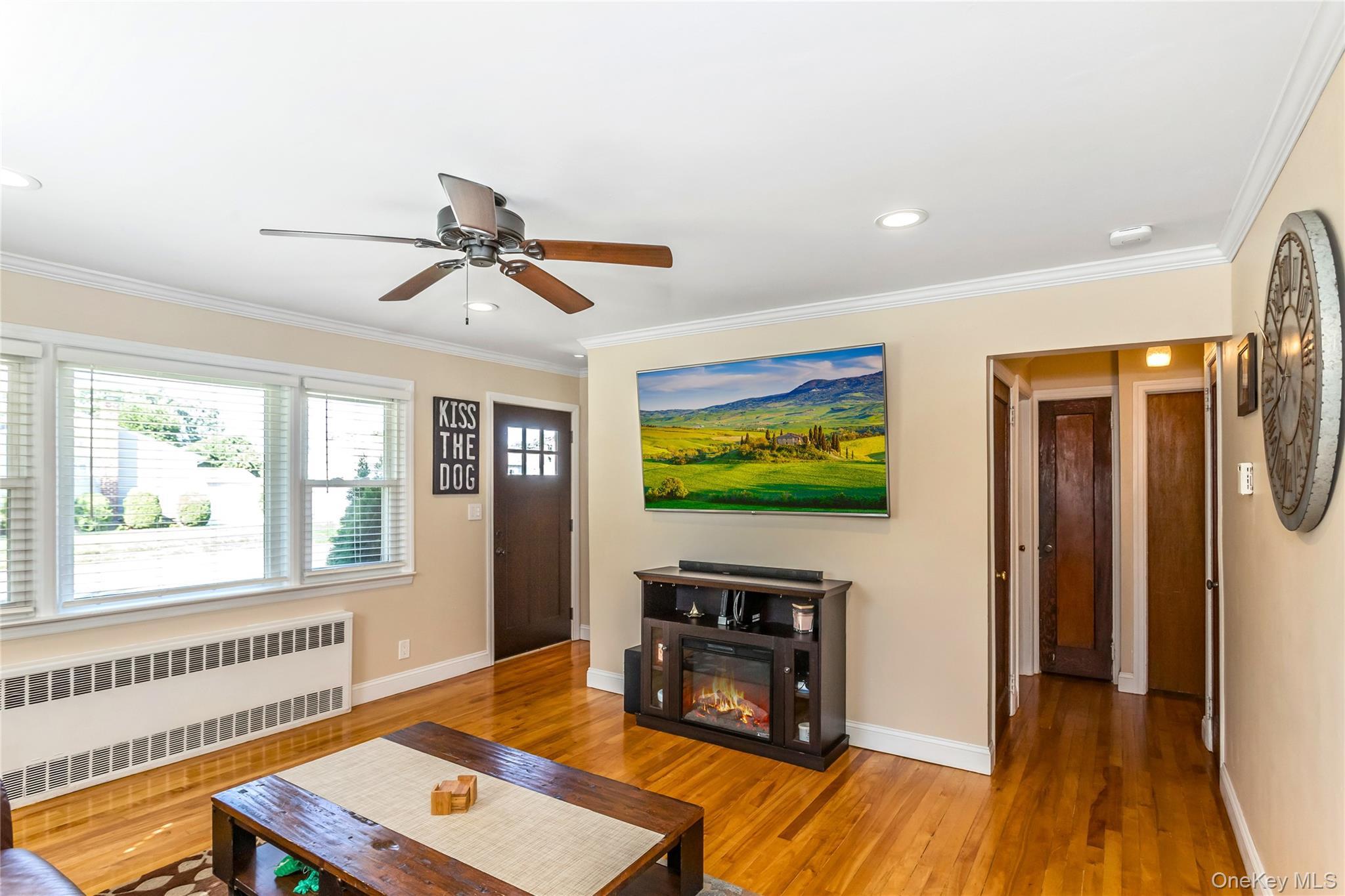 Single Family Nassau  Nassau County, NY 11758, MLS-908703-5