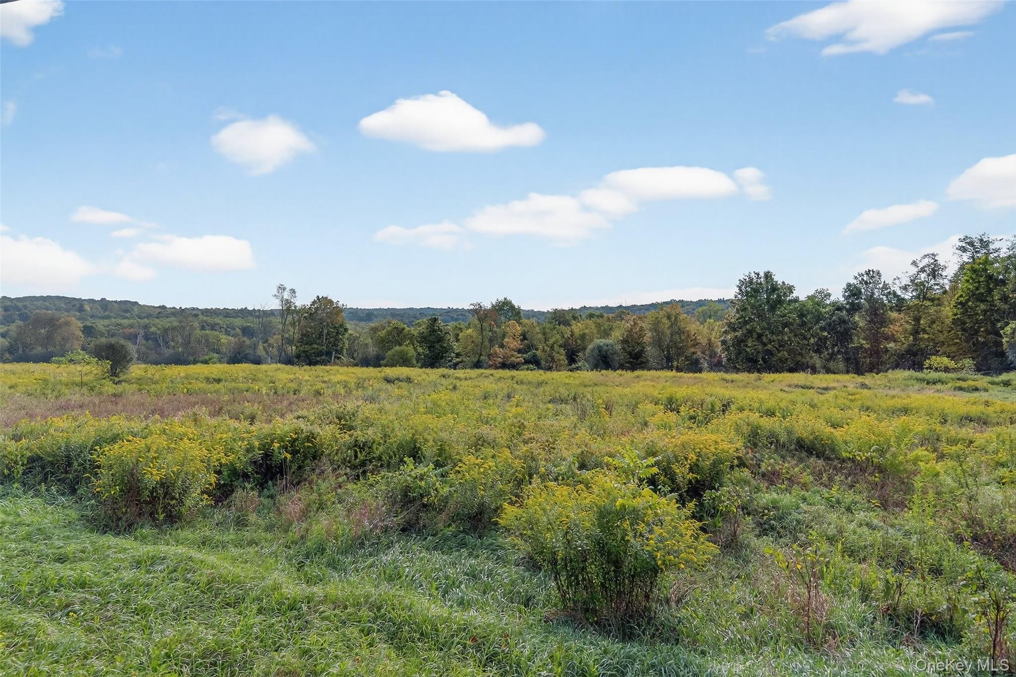 Single Family Scotchtown Collabar  Orange County, NY 10941, MLS-908720-48