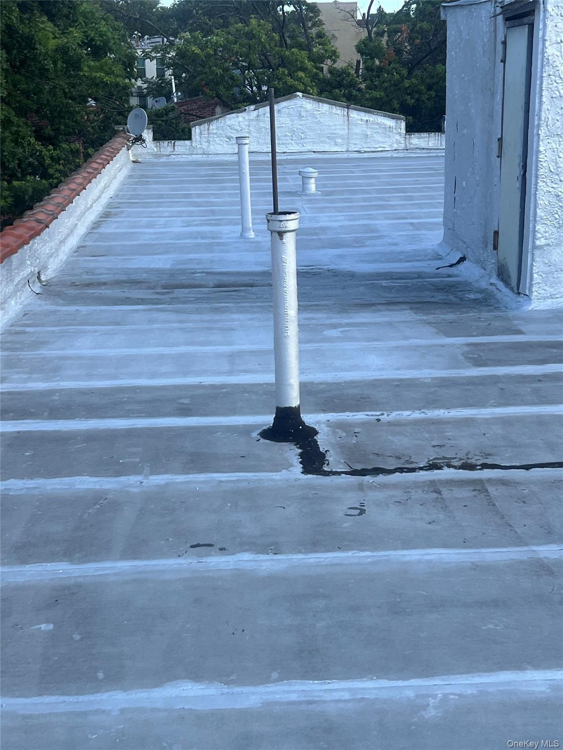 Single Family Crown Brooklyn, NY 11213, MLS-908820-6