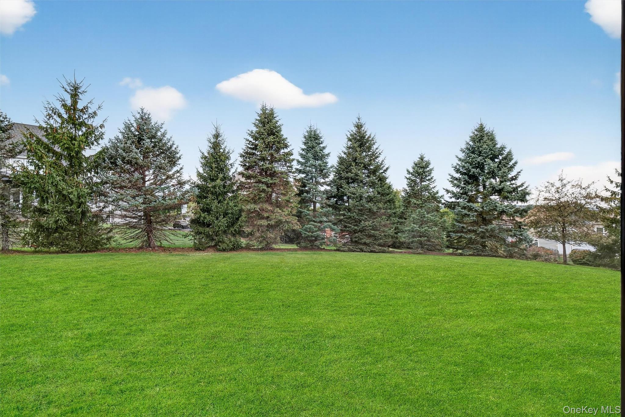 Single Family Deangelis  Orange County, NY 10950, MLS-908849-11