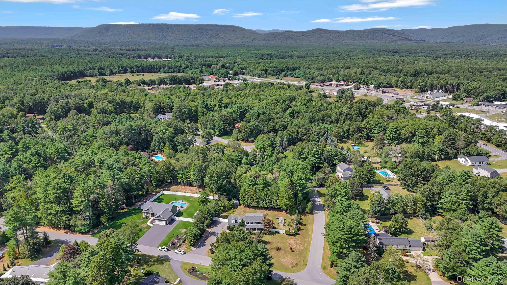 Single Family Coriander Out Of Area, NY 12828, MLS-908867-29