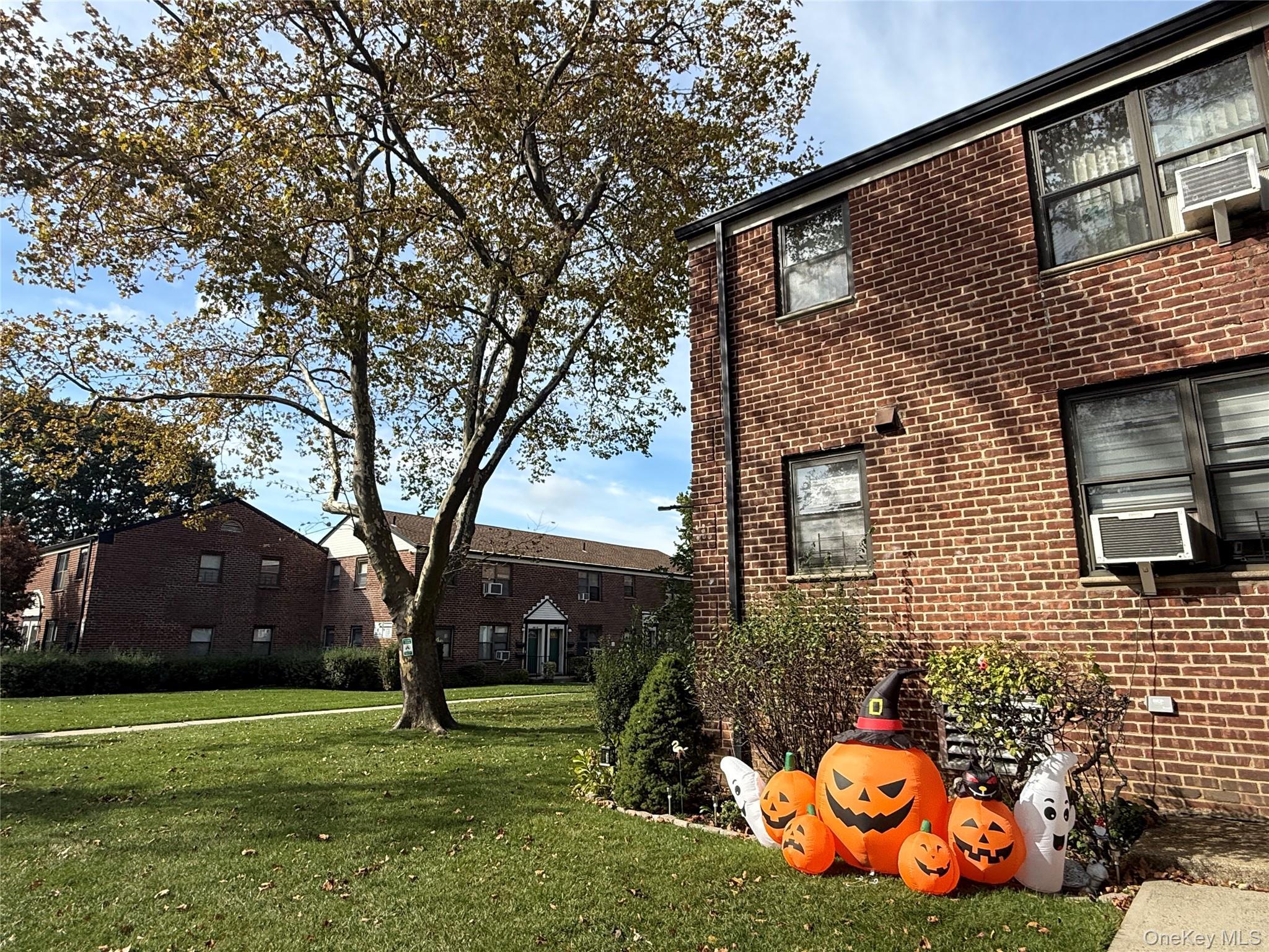 Coop 69th  Queens, NY 11365, MLS-908962-6