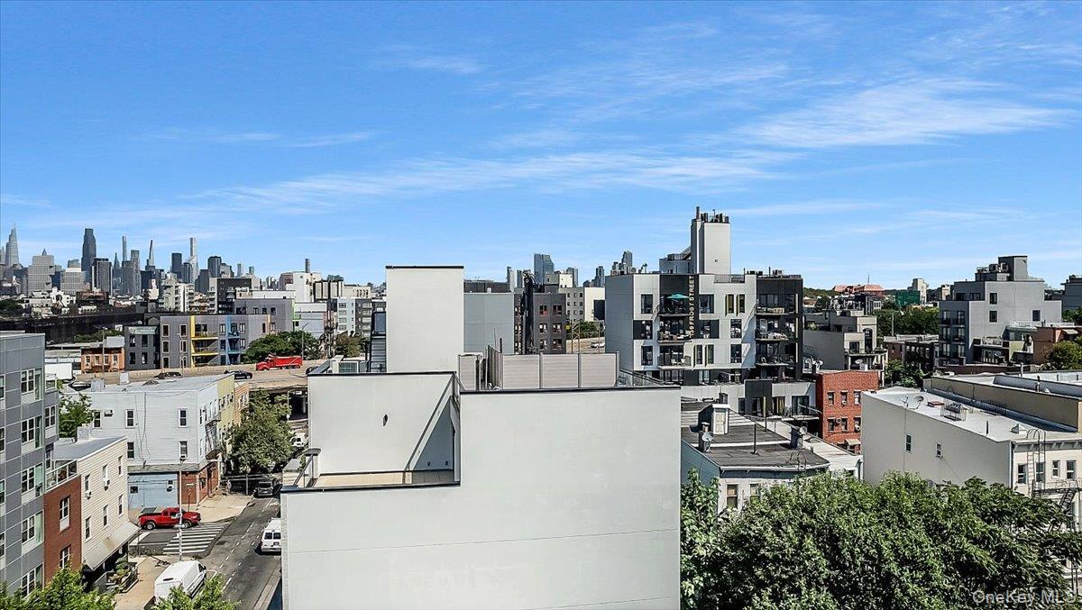 Single Family Manhattan  Brooklyn, NY 11211, MLS-909007-24