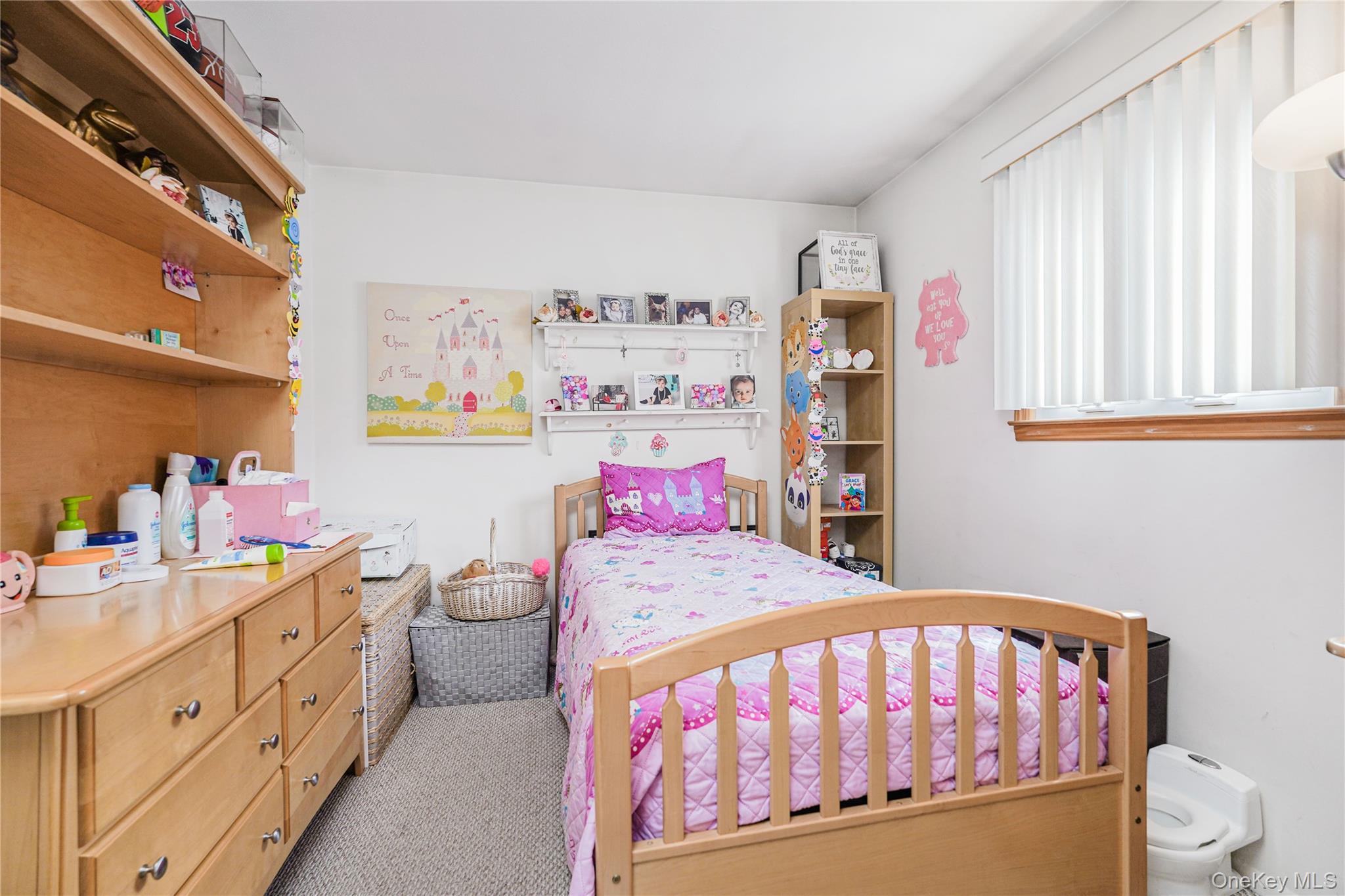 Single Family Merrill  Staten Island, NY 10314, MLS-909017-17